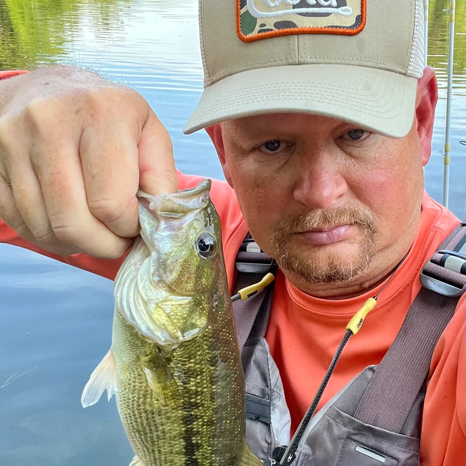 The most recent Spotted bass catches on Fishbrain