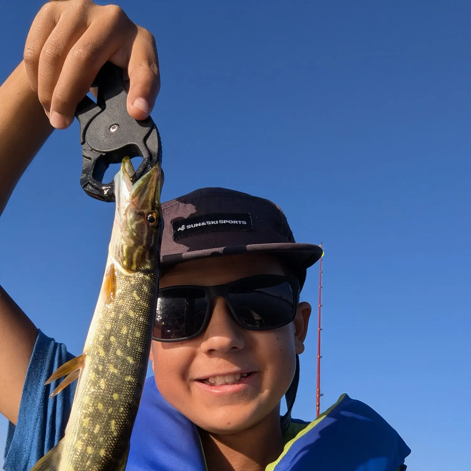 Northern pike caught on Fishbrain