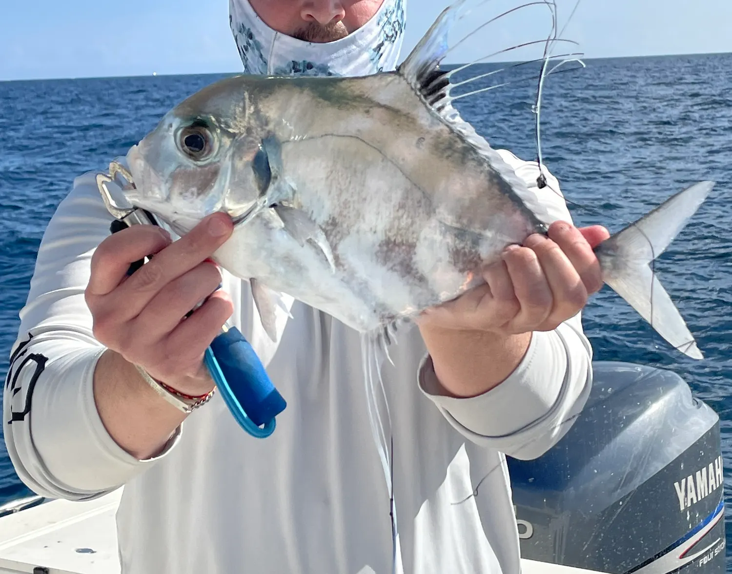 African pompano