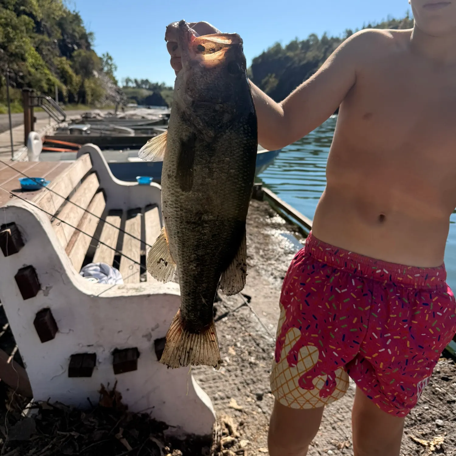 Largemouth bass caught on Fishbrain