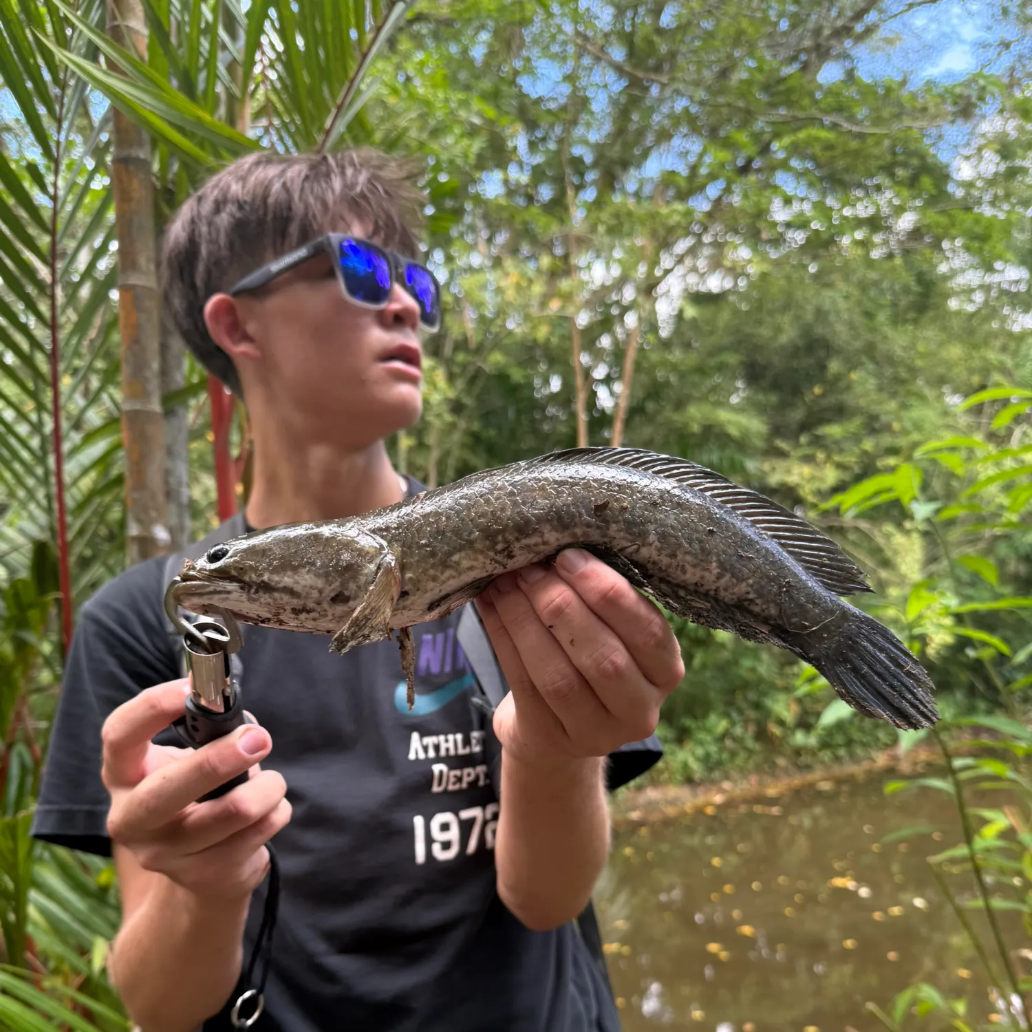 The most recent Striped snakehead catches on Fishbrain
