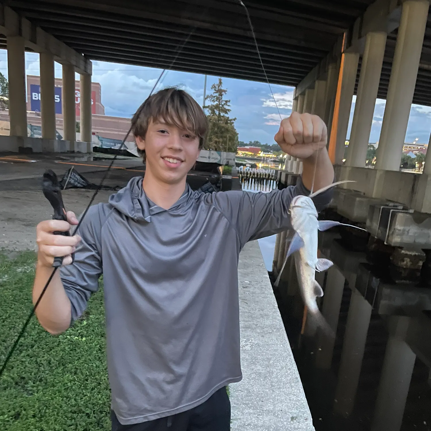 Gafftopsail sea catfish caught on Fishbrain