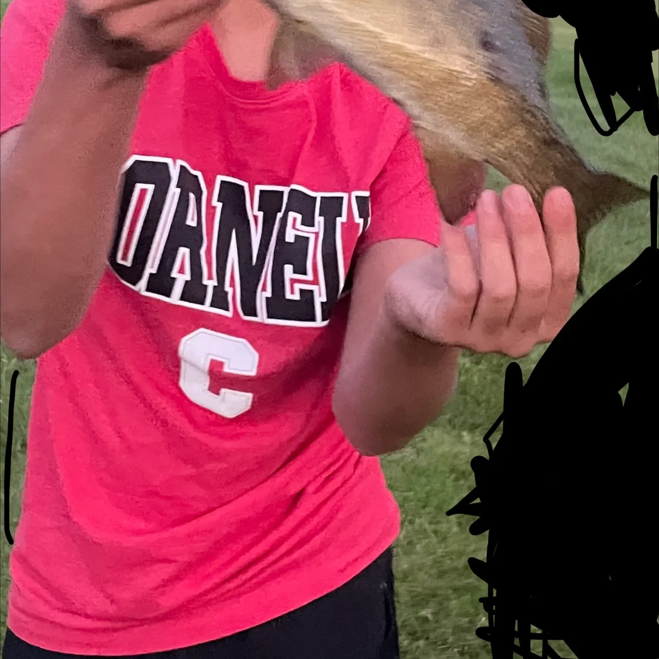 Smallmouth bass caught on Fishbrain