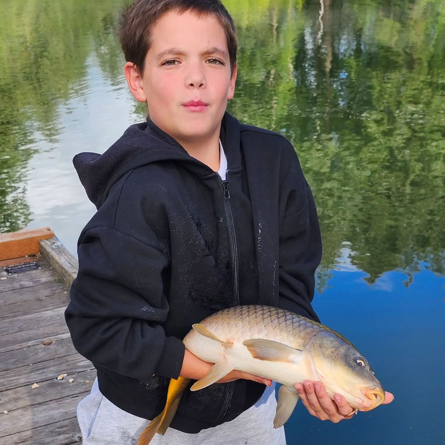 Common carp caught on Fishbrain