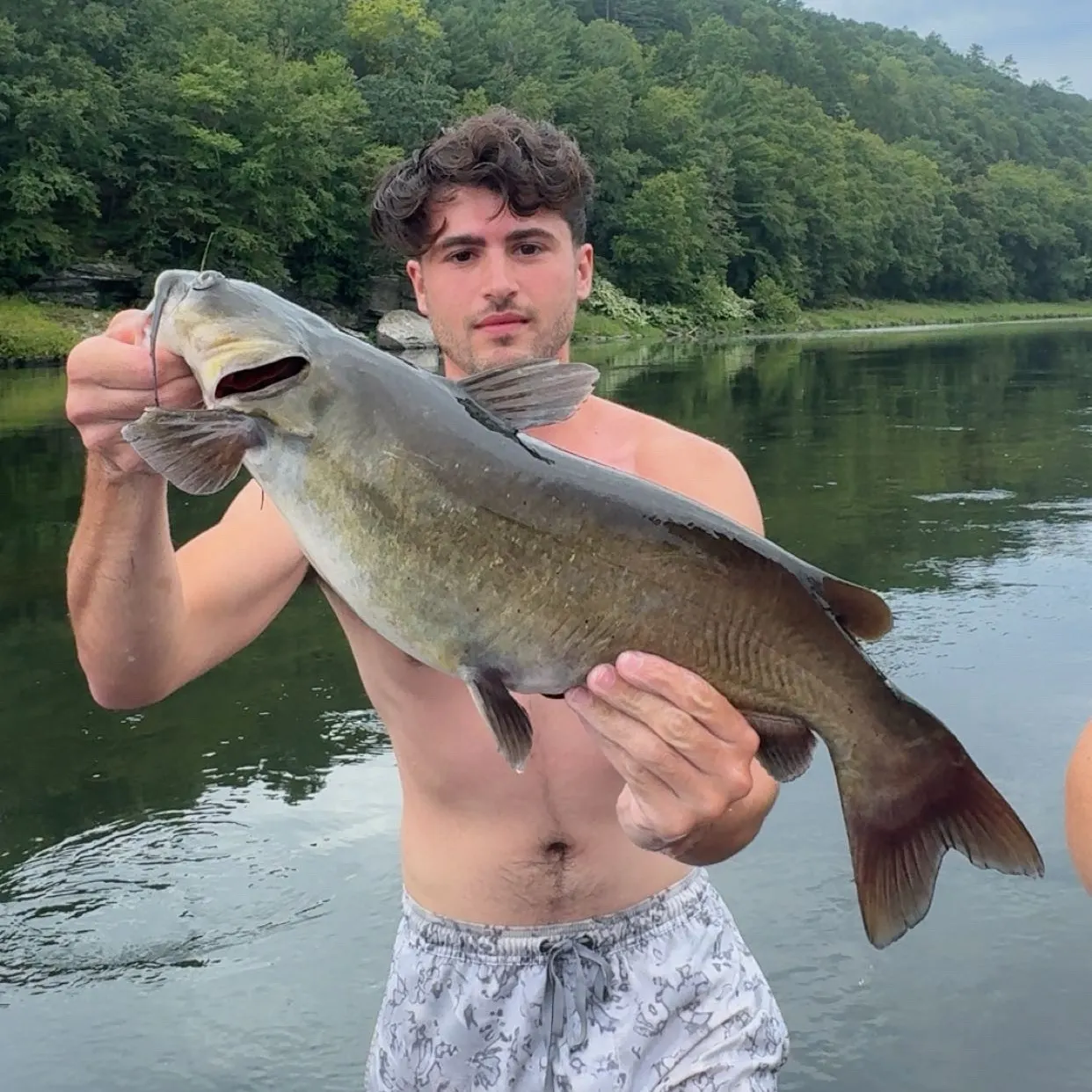 Channel catfish caught on Fishbrain