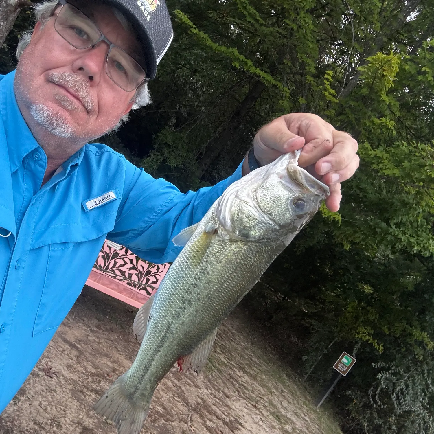 Largemouth bass caught on Fishbrain