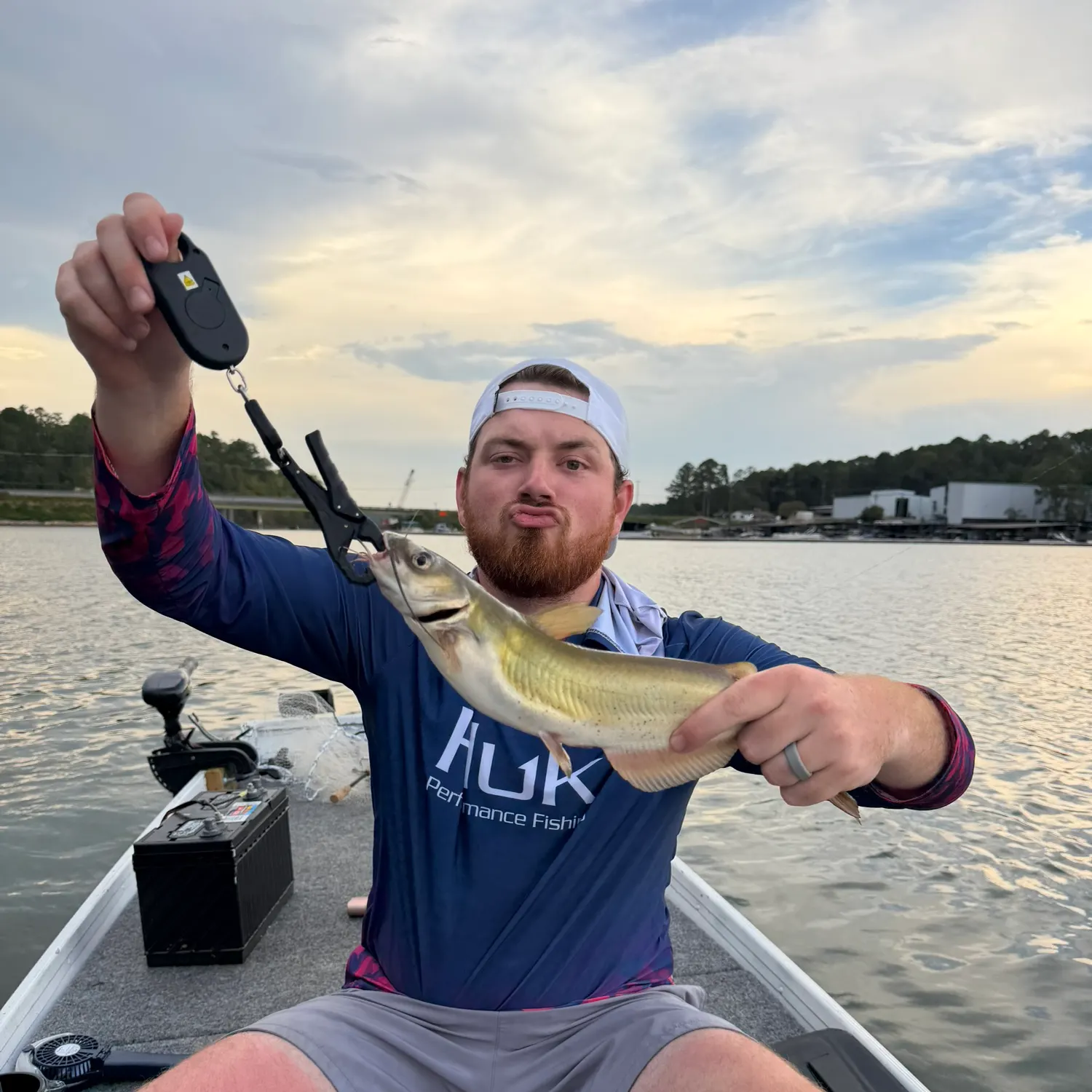 Channel catfish caught on Fishbrain