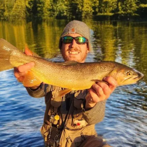 The most recent Snake River fine-spotted cutthroat trout catches on Fishbrain
