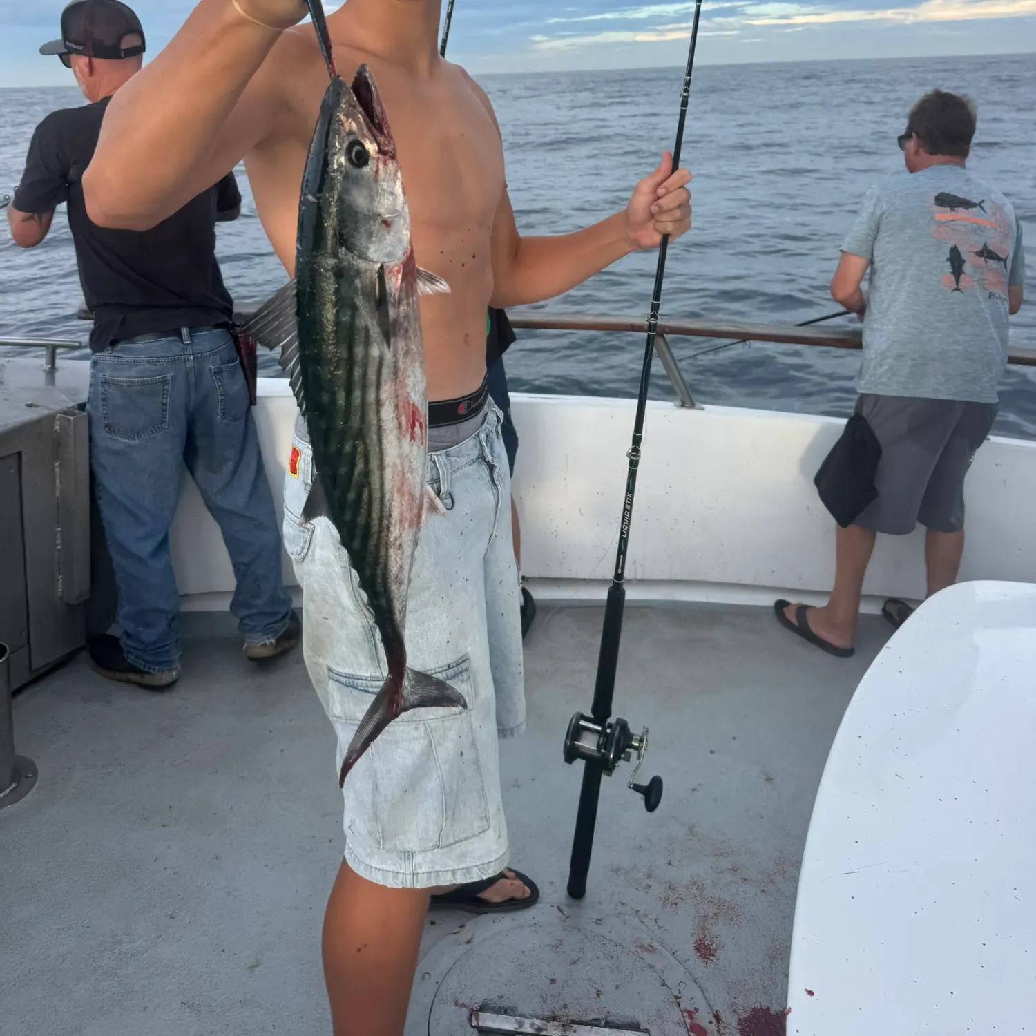Pacific bonito caught on Fishbrain