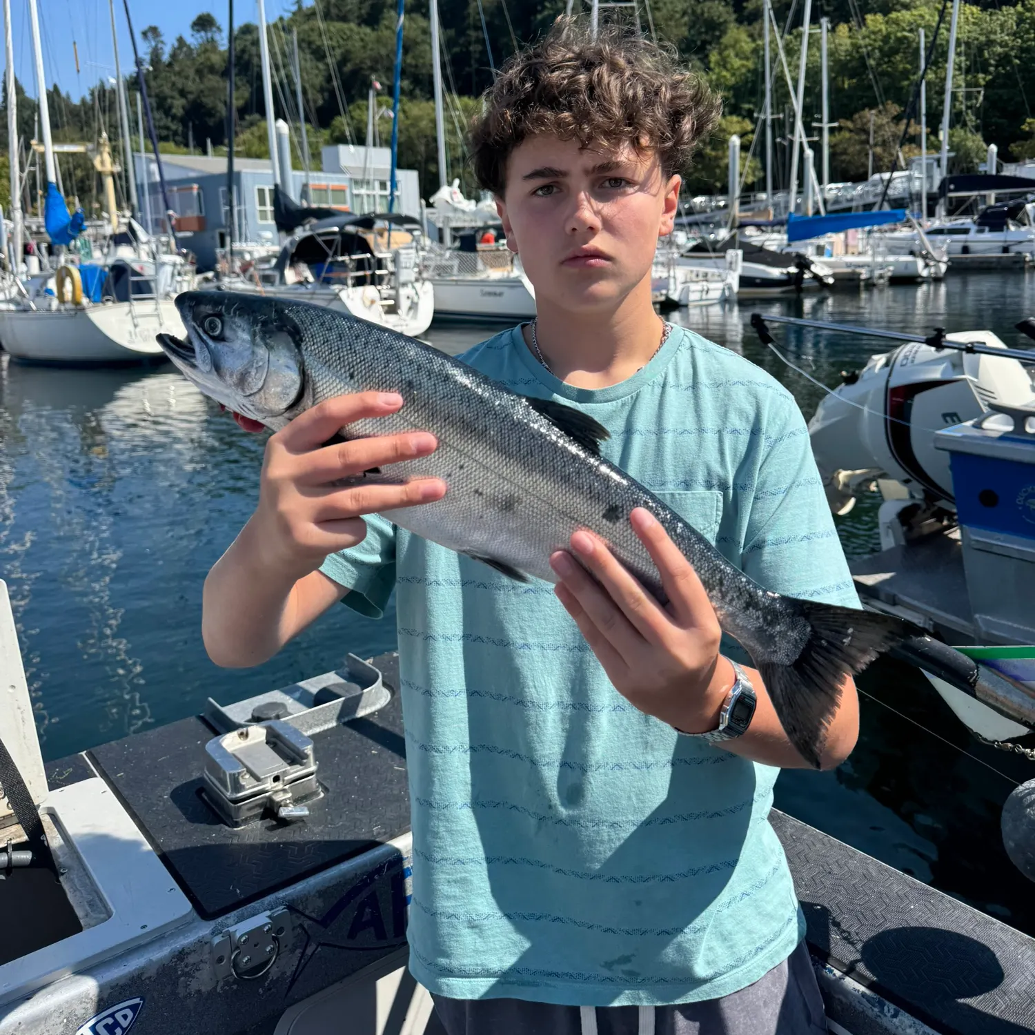 Coho salmon caught on Fishbrain