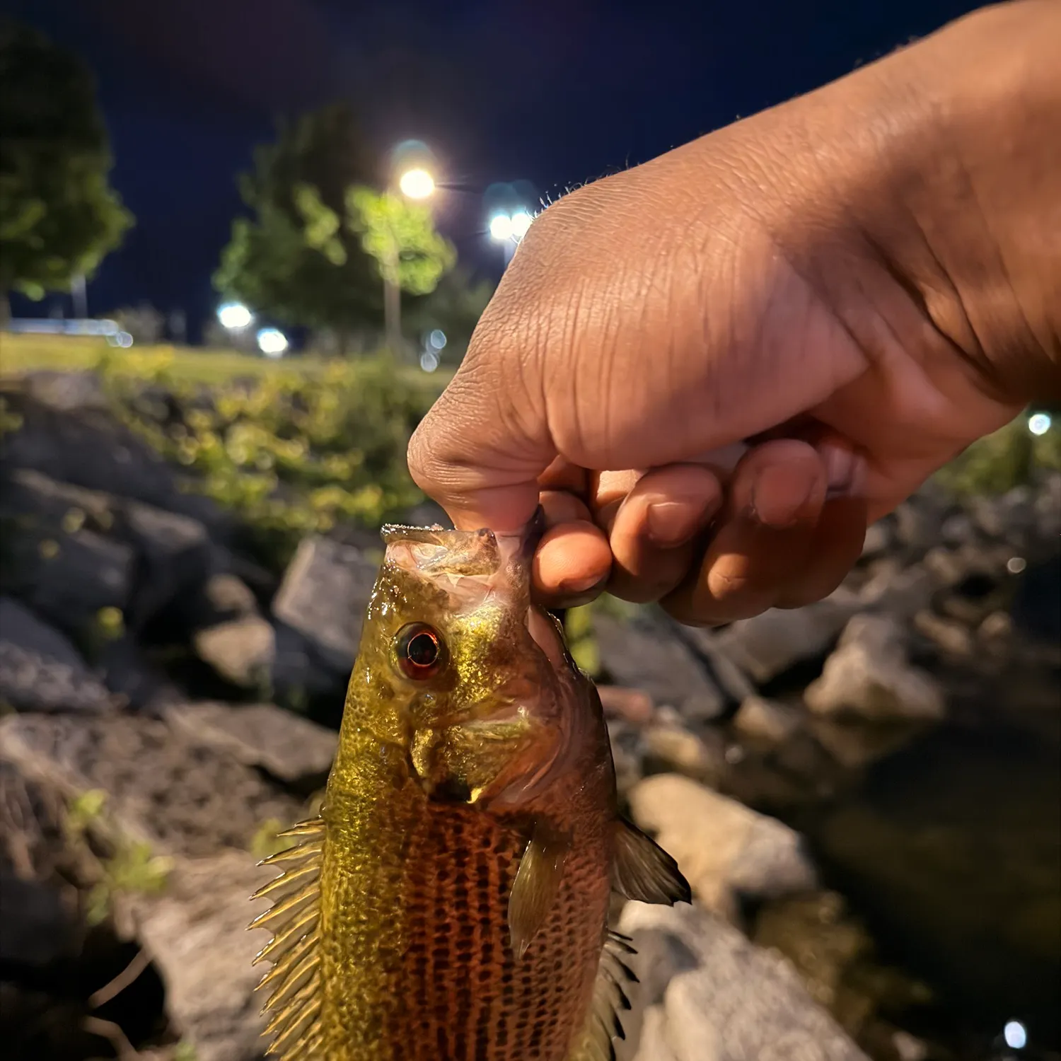catch
