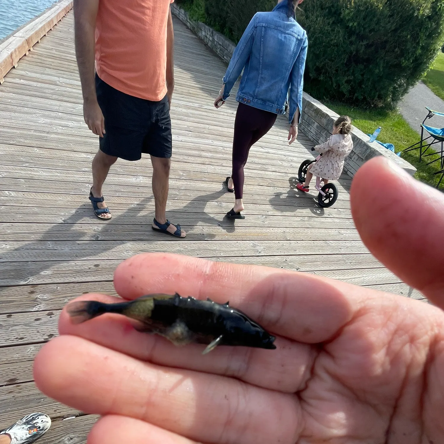 catch