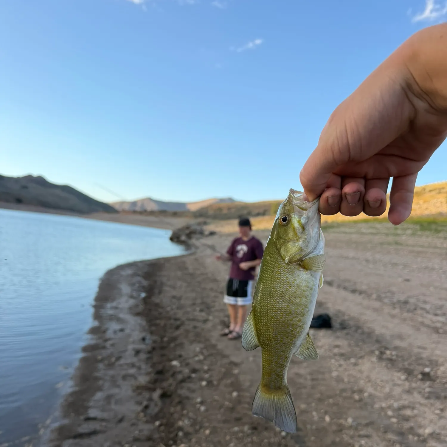 Smallmouth bass caught on Fishbrain