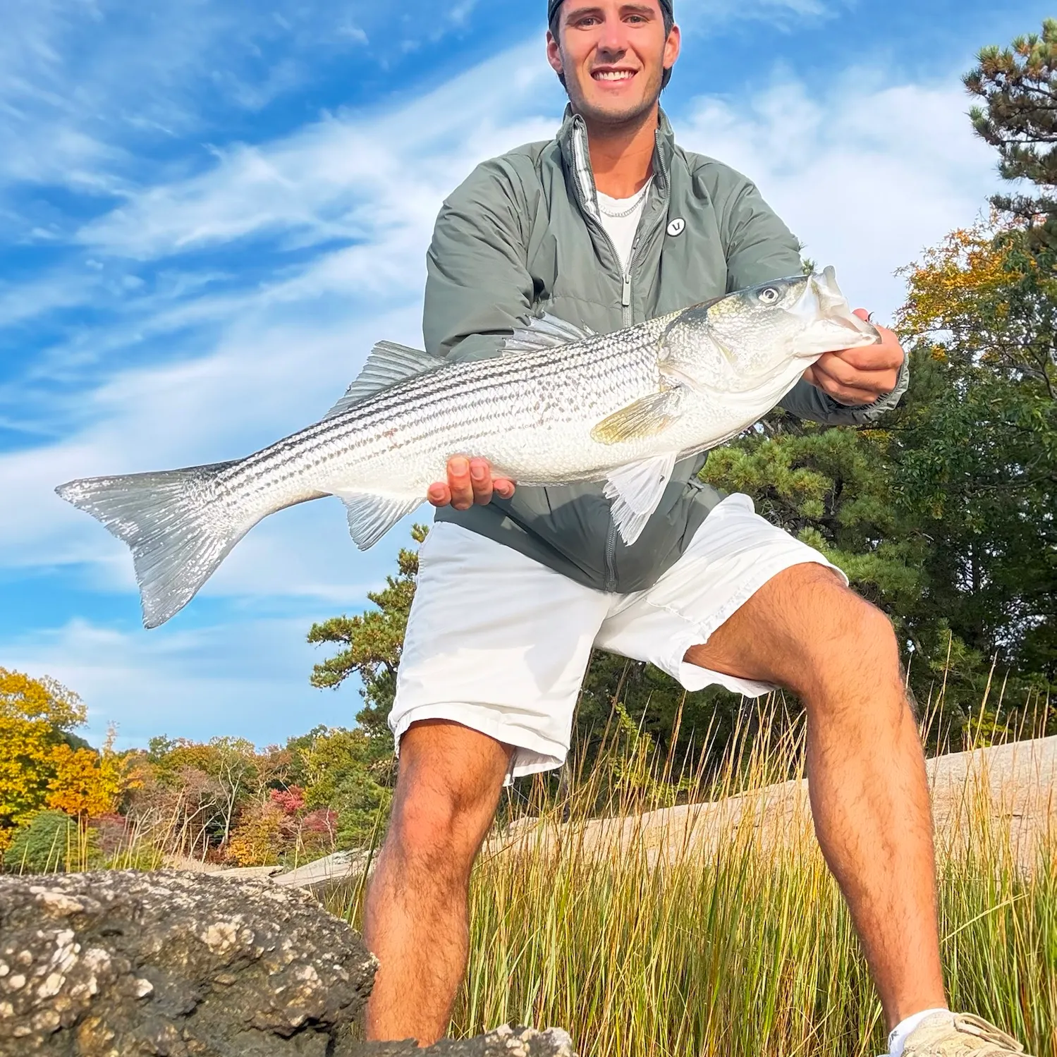Striped bass caught on Fishbrain