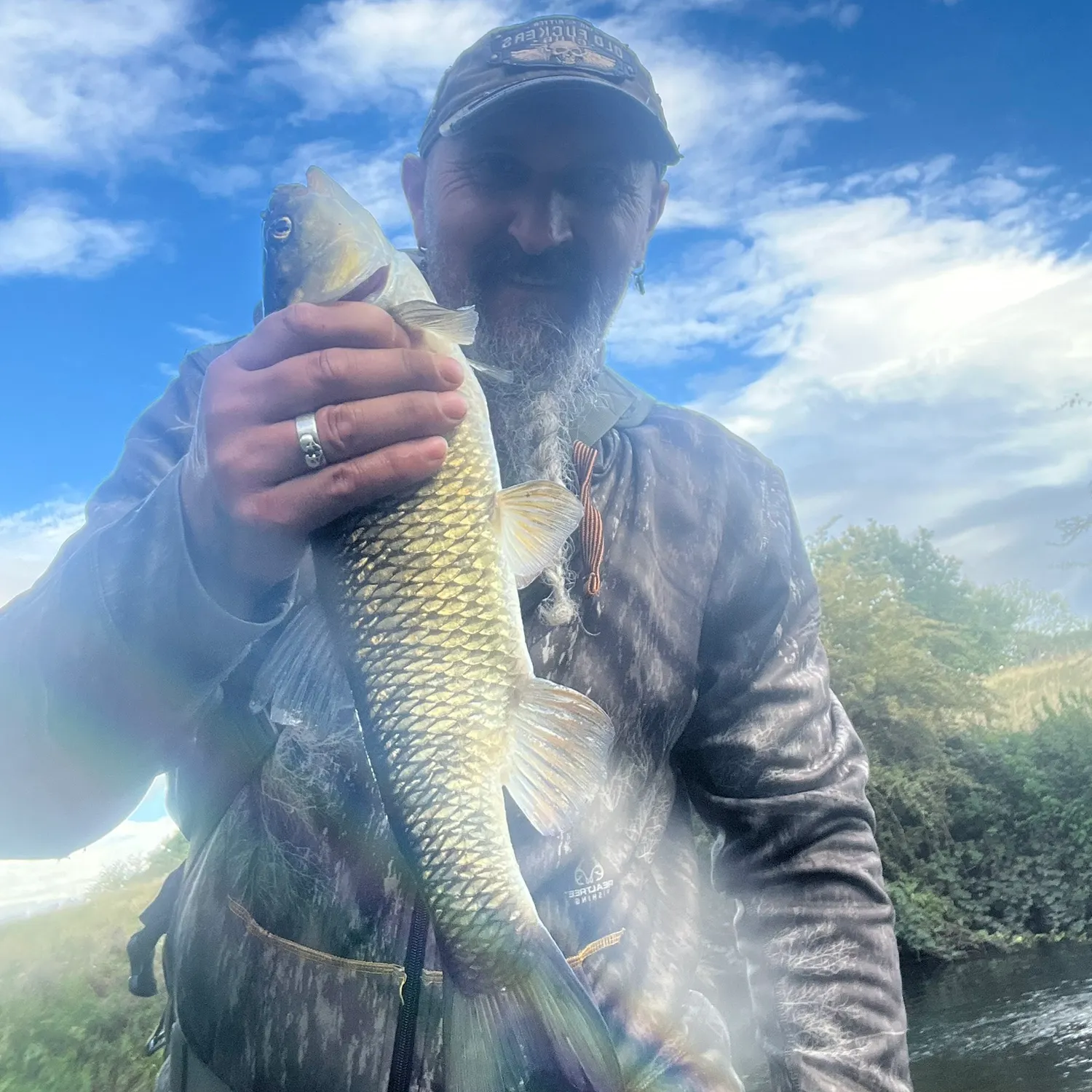 European chub caught on Fishbrain