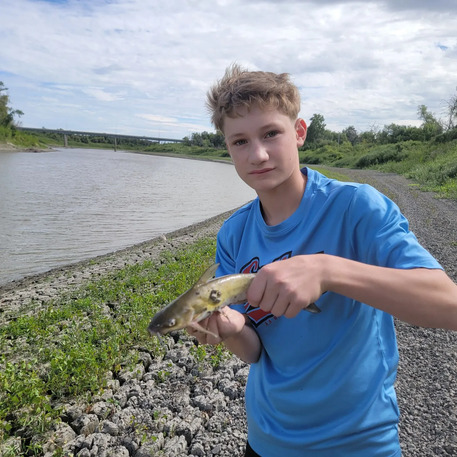 Channel catfish caught on Fishbrain