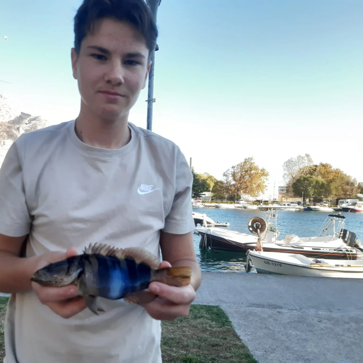 Painted comber caught on Fishbrain