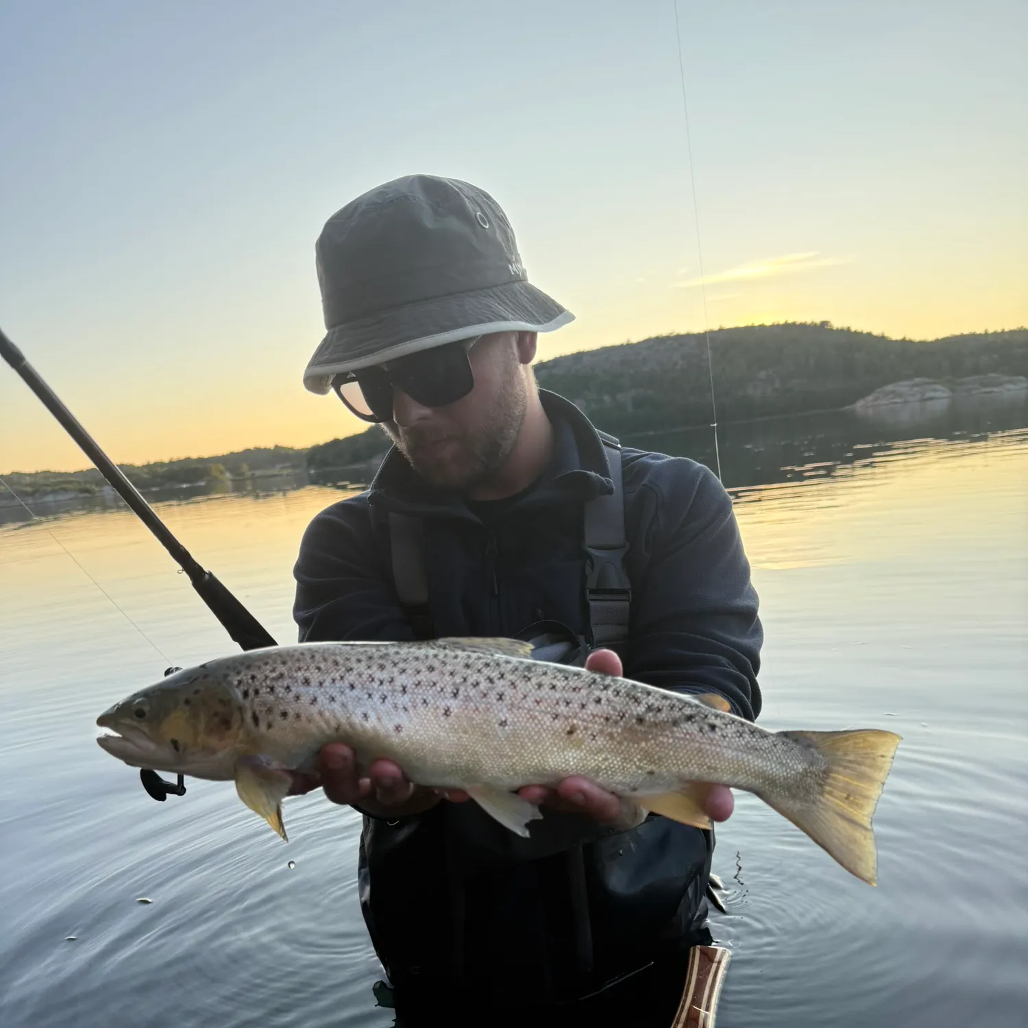 Sea trout caught on Fishbrain