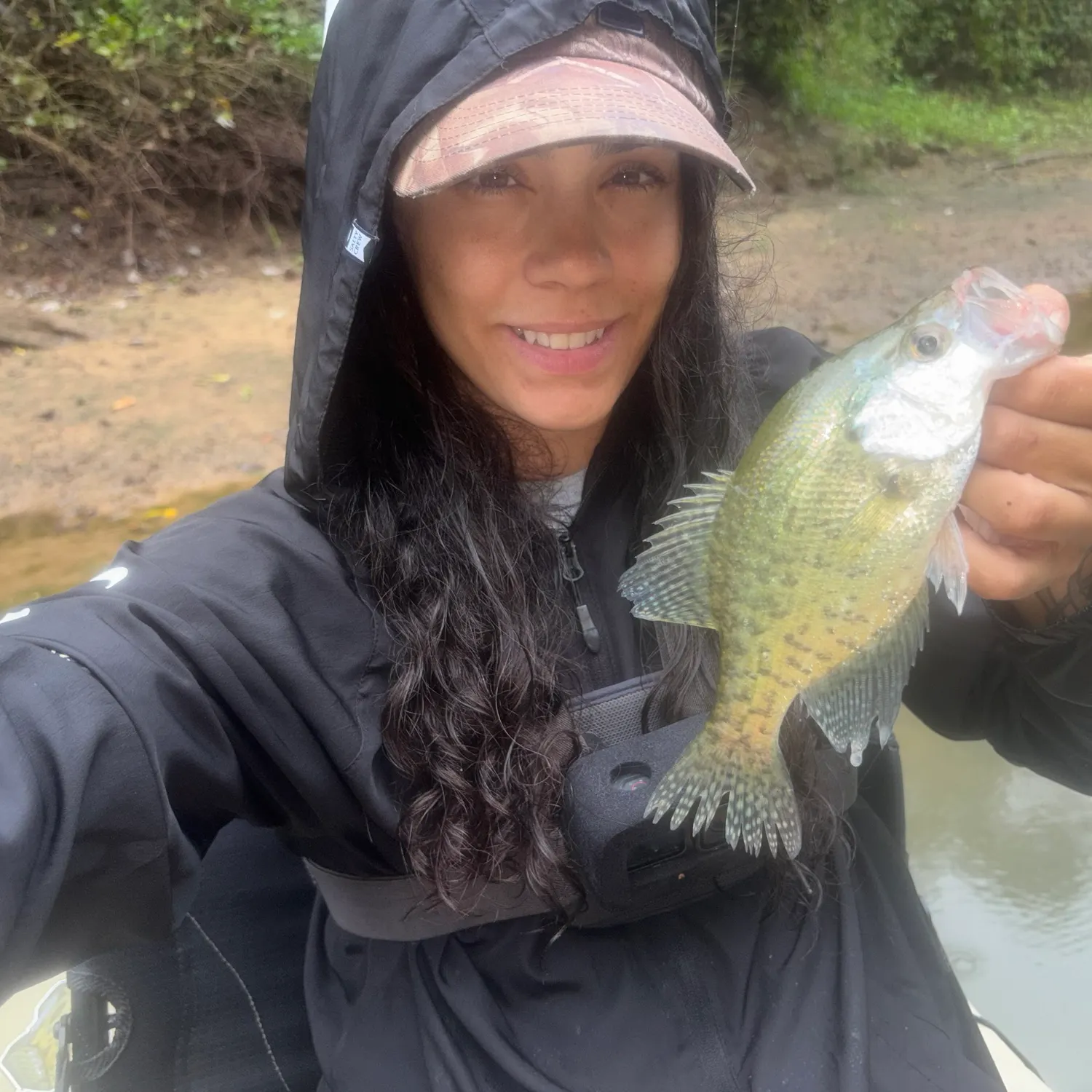 White crappie caught on Fishbrain