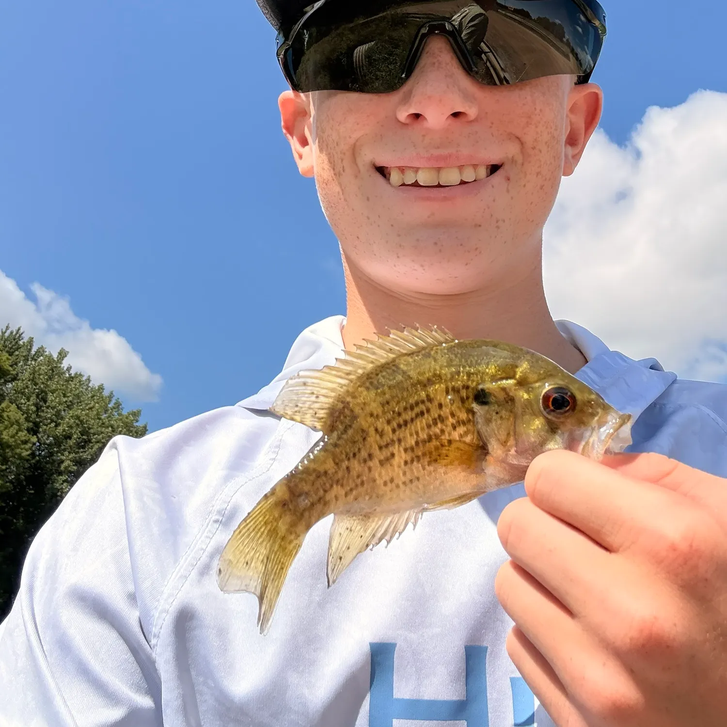 Rock bass caught on Fishbrain