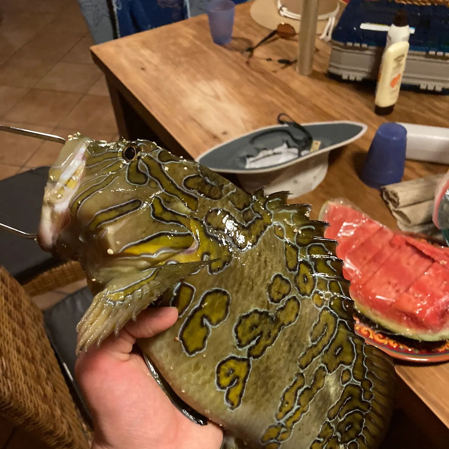 catch