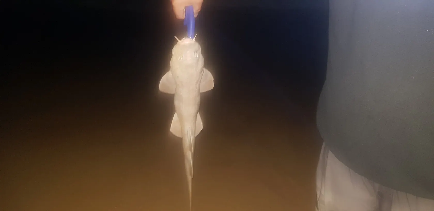 Post image from csmith2584