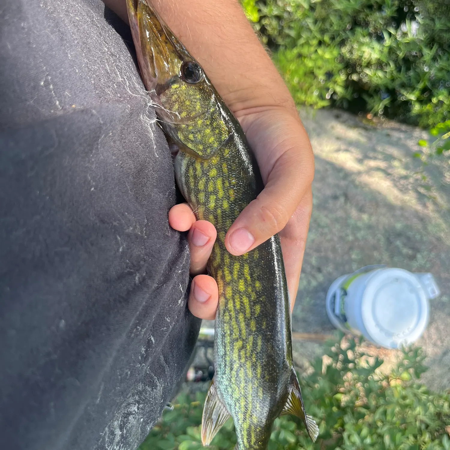 catch