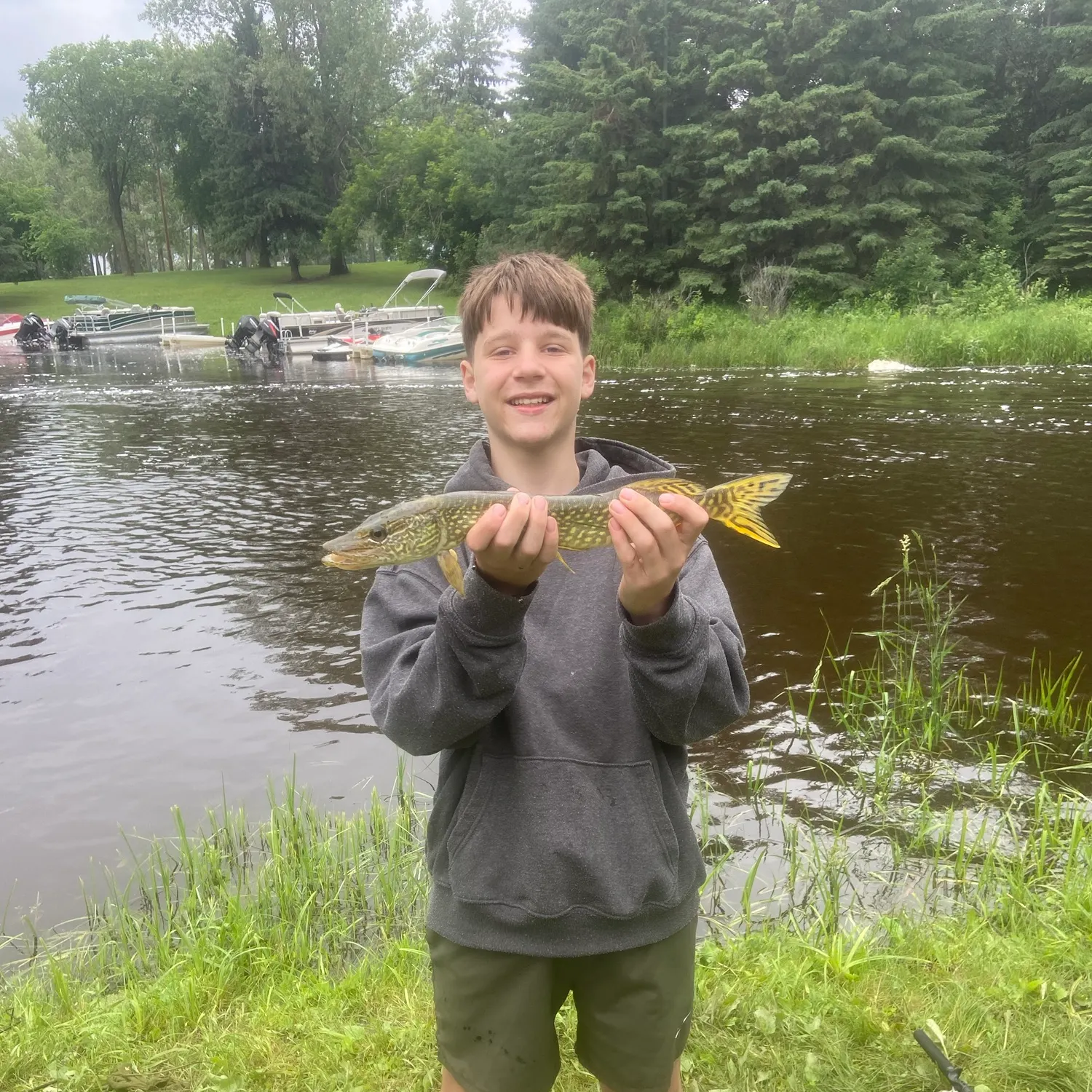 Northern pike caught on Fishbrain
