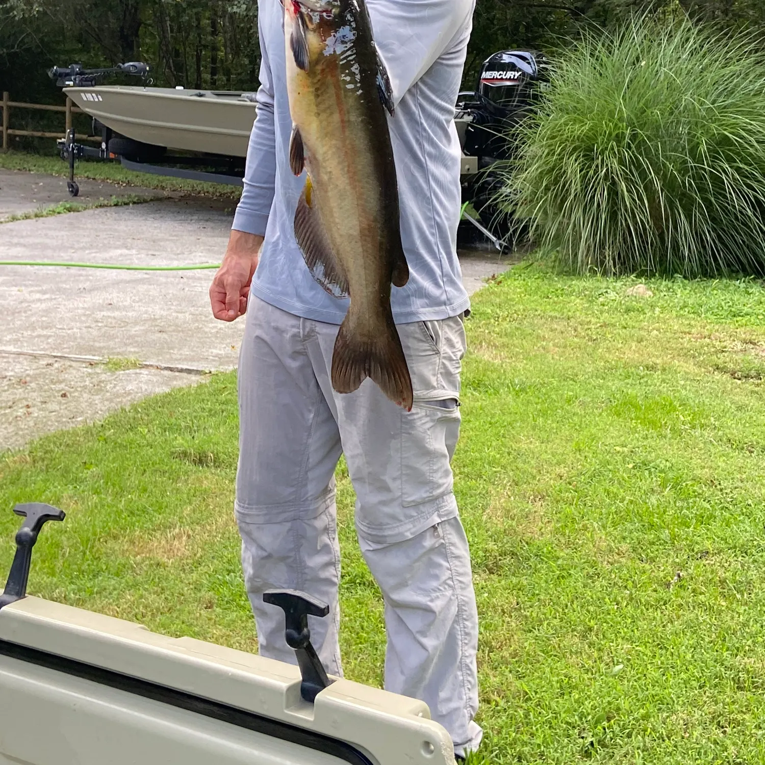Channel catfish caught on Fishbrain