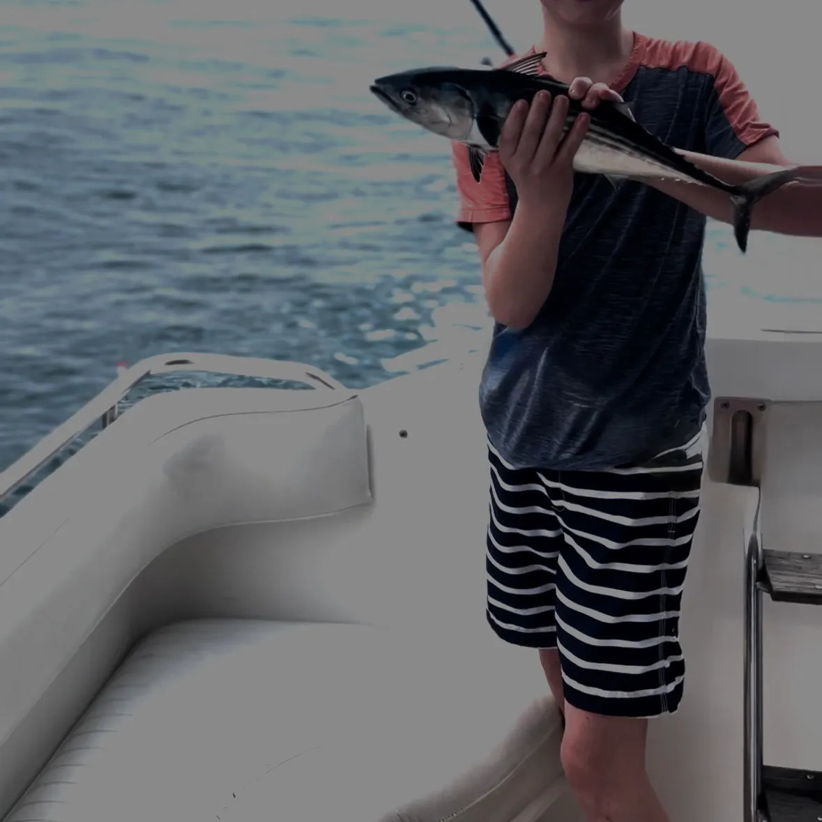 The most recent Skipjack tuna catches on Fishbrain