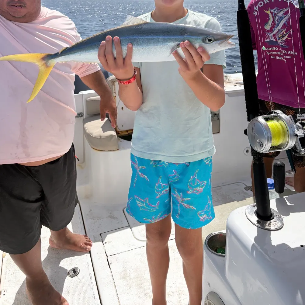 The most recent Rainbow runner catches on Fishbrain