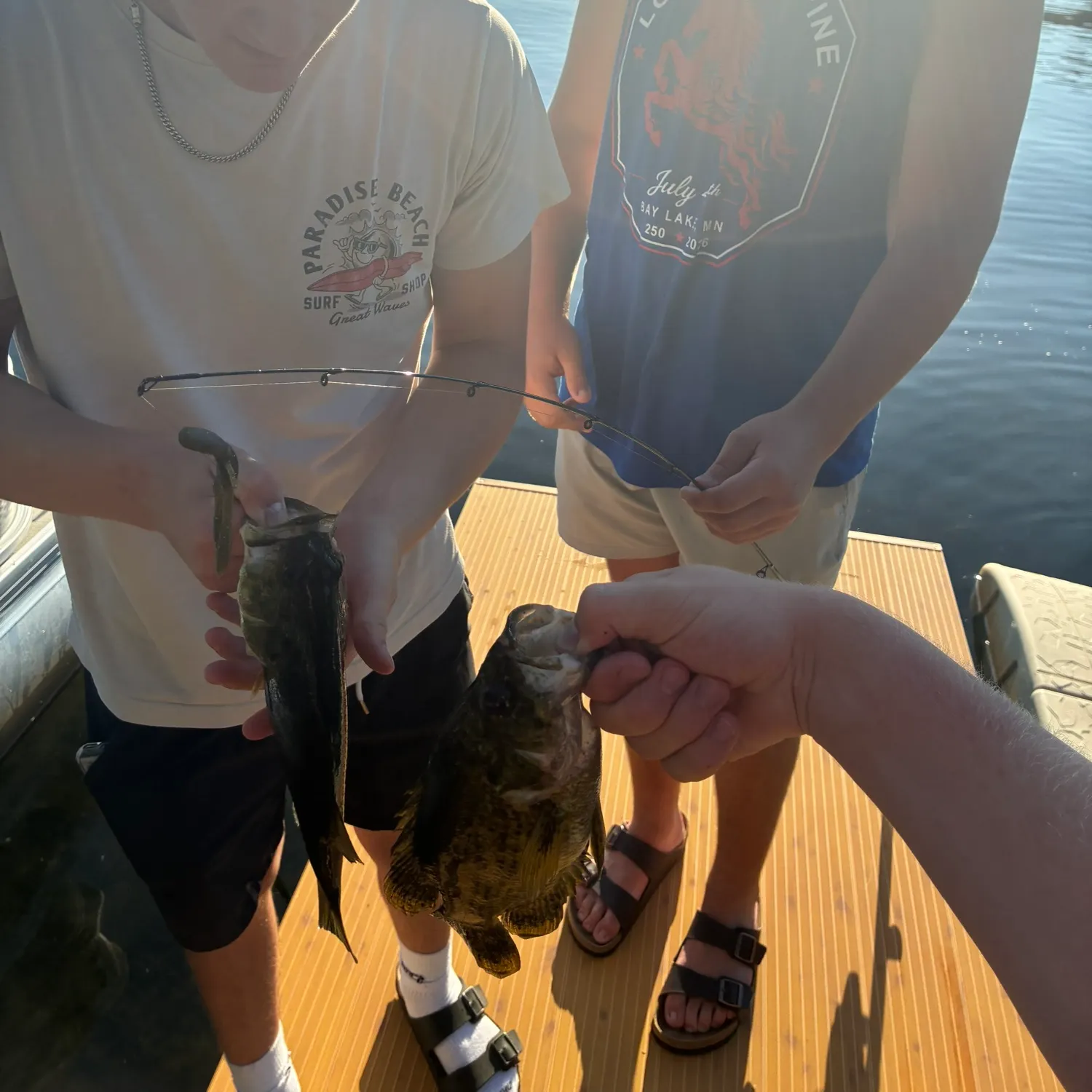 recently logged catches