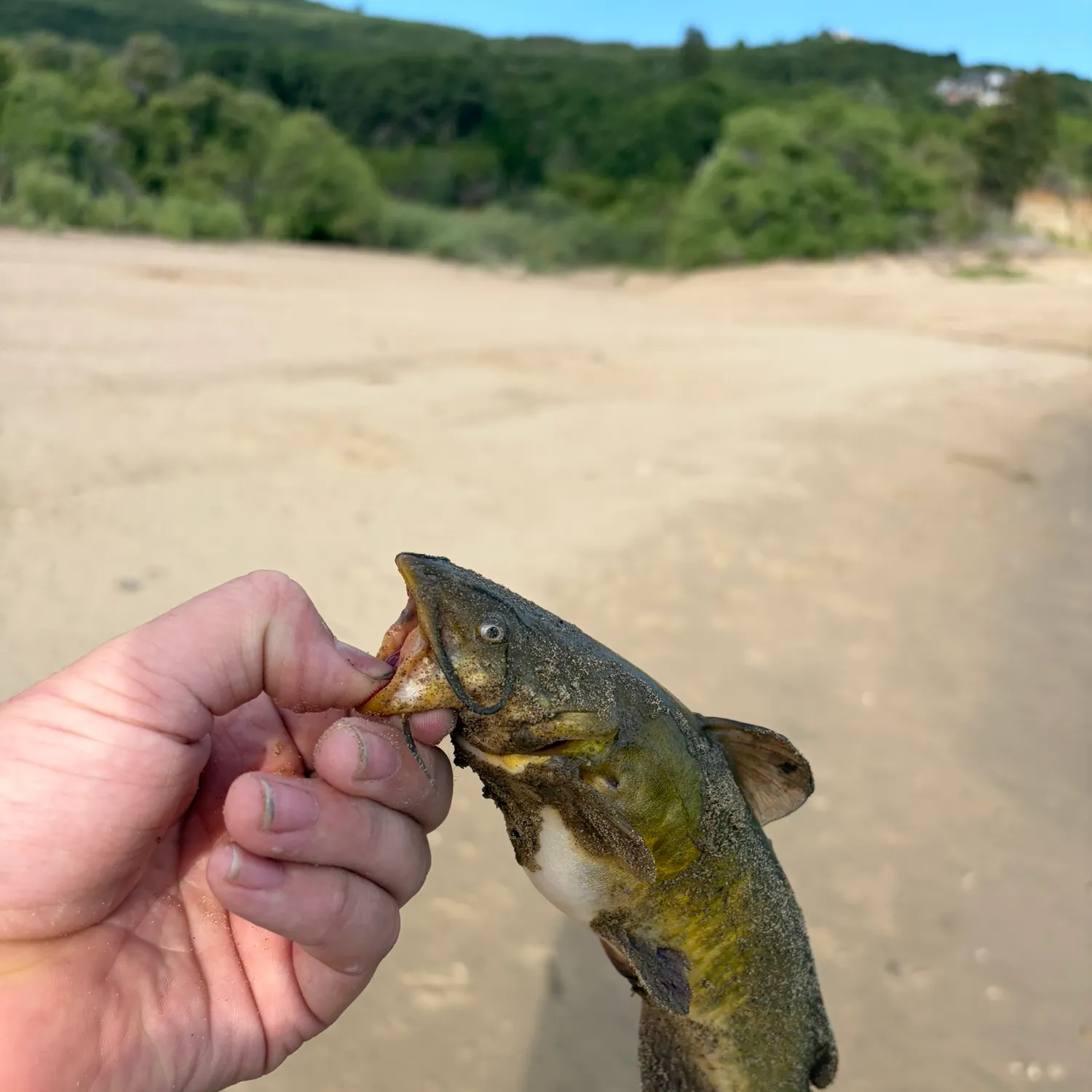catch