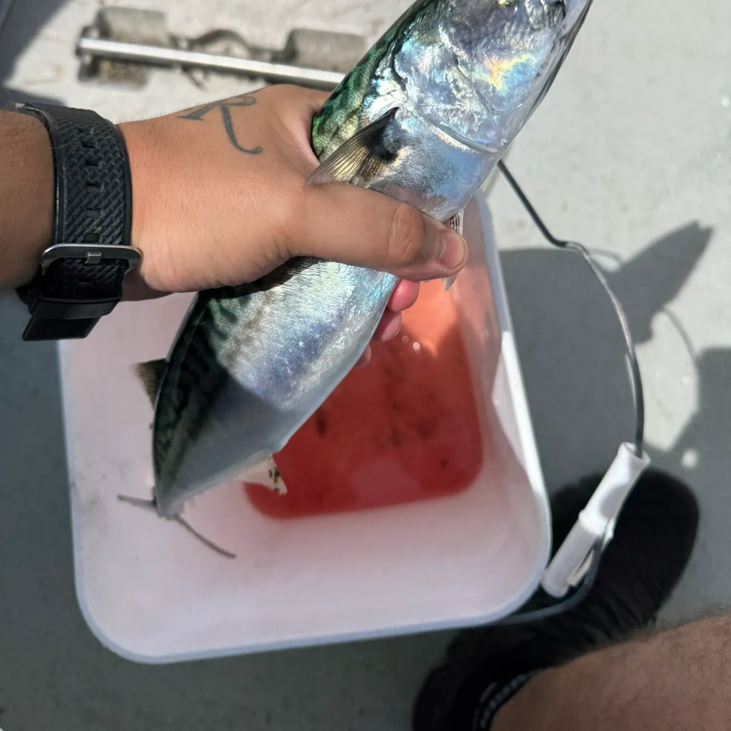 catch