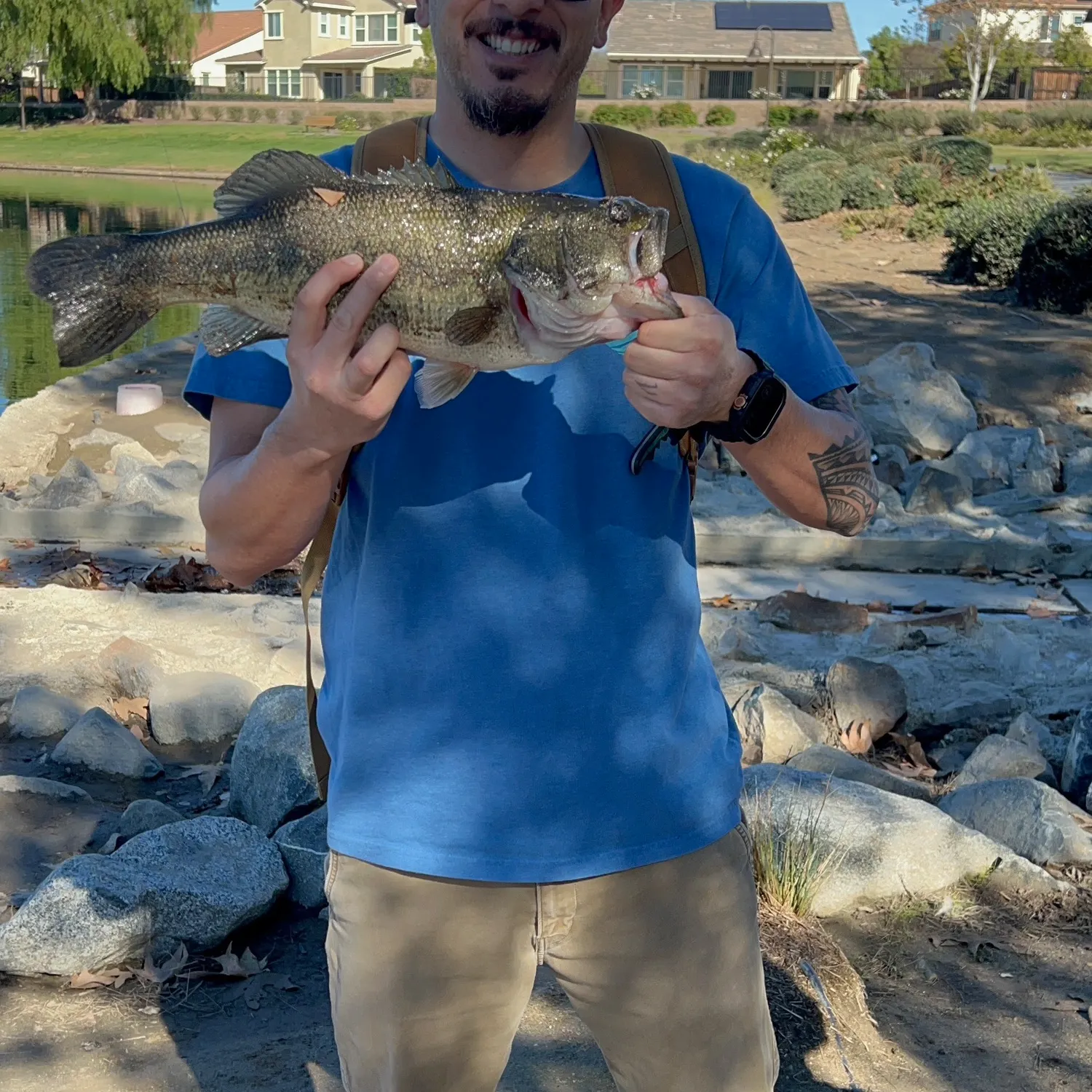 The most recent Largemouth bass catches on Fishbrain
