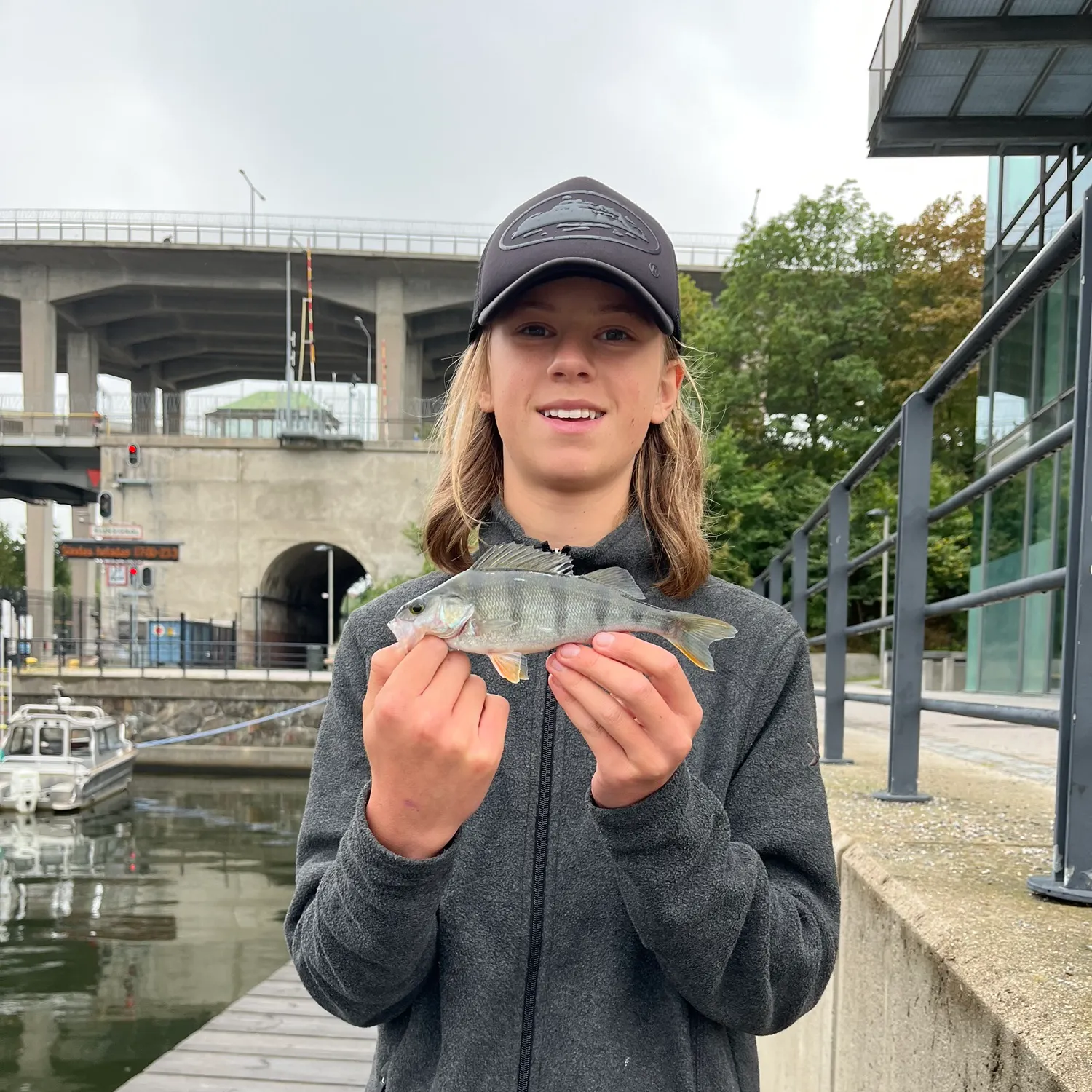 European perch caught on Fishbrain