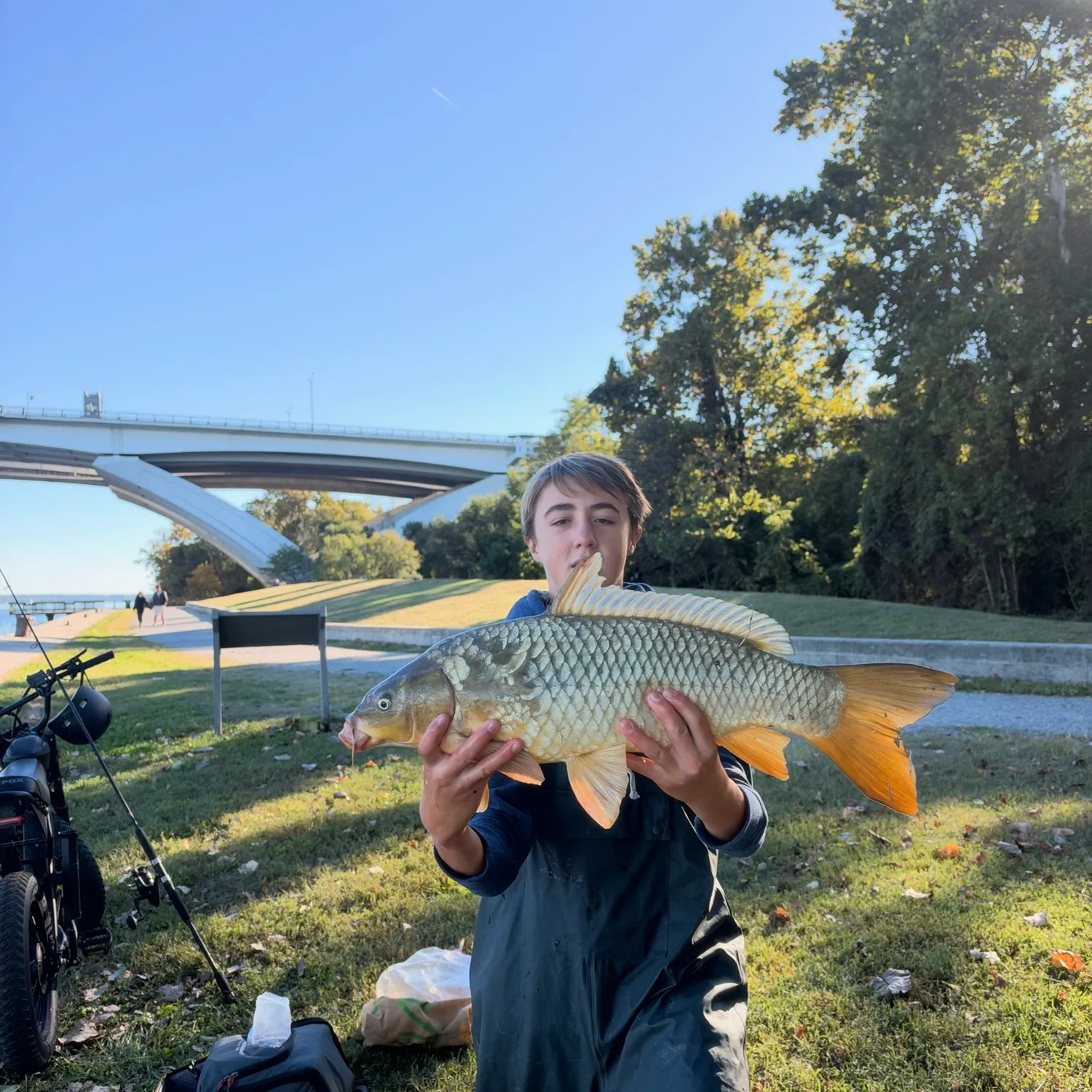 Common carp caught on Fishbrain