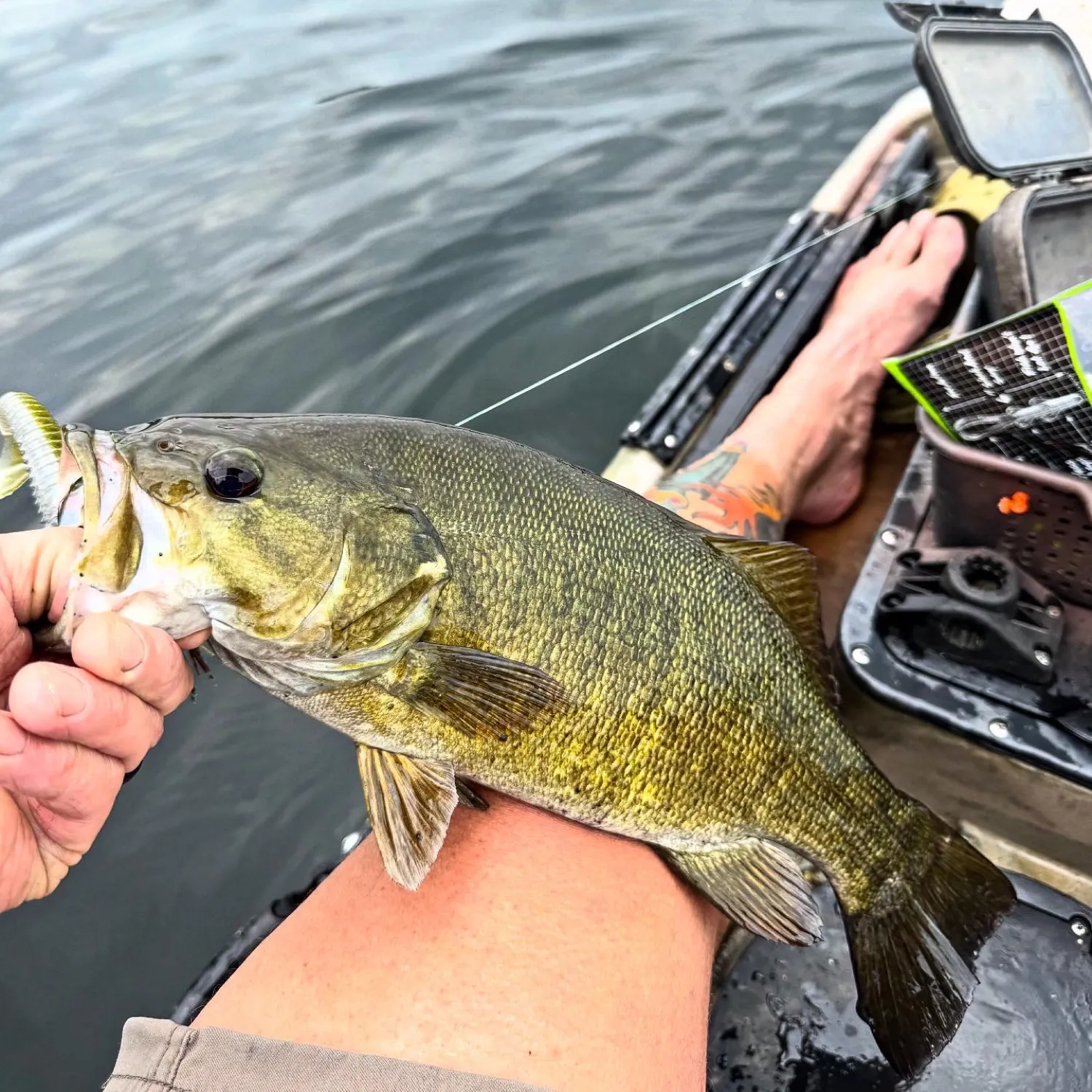 angler catch