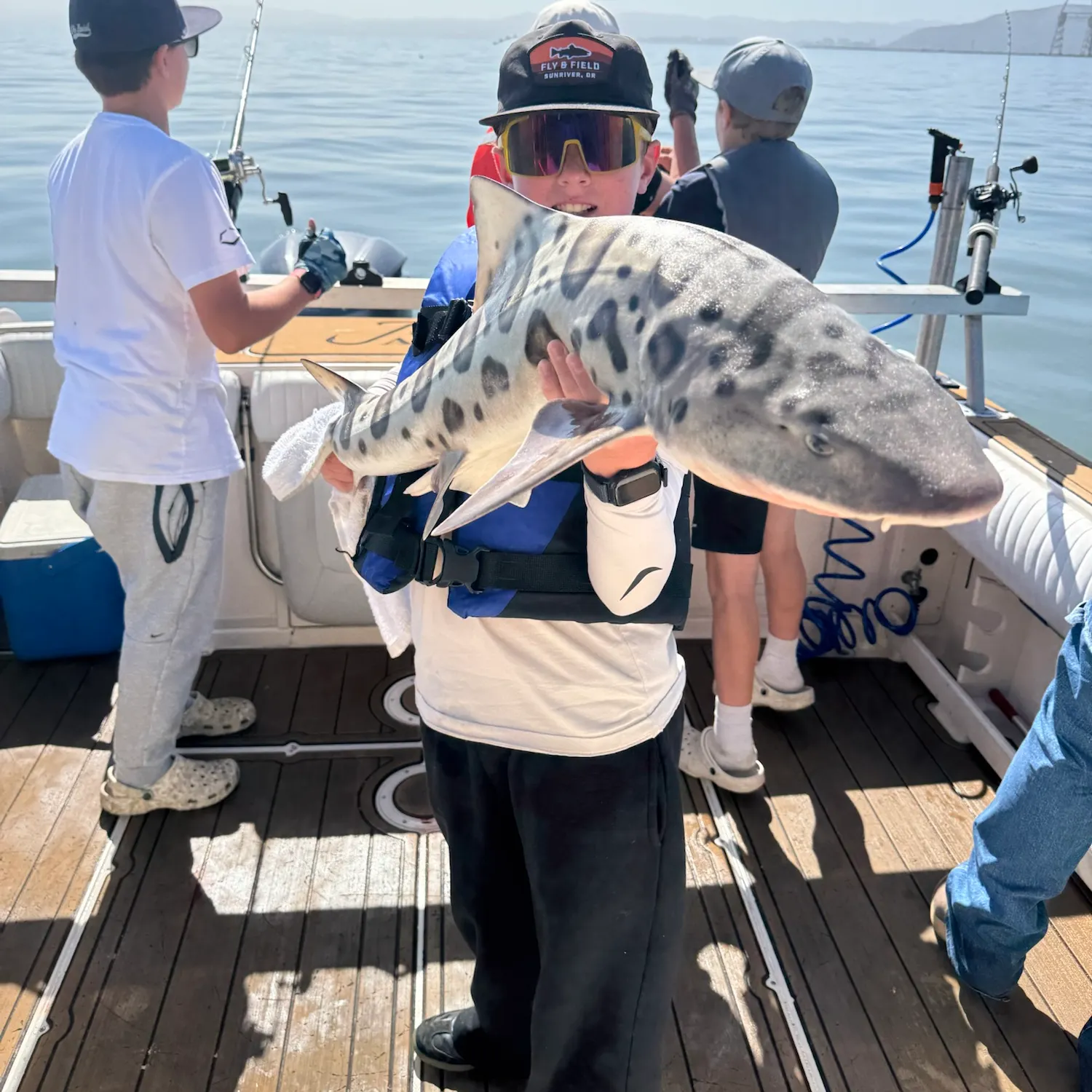 The most recent Leopard shark catches on Fishbrain