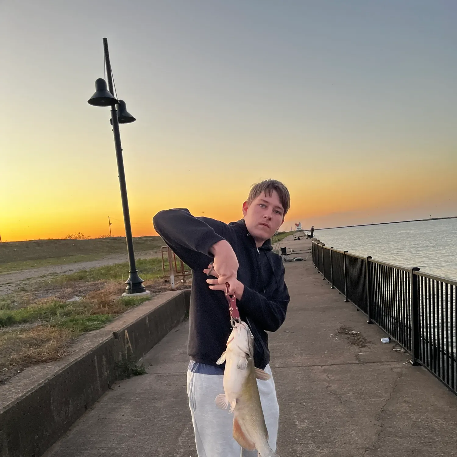Channel catfish caught on Fishbrain