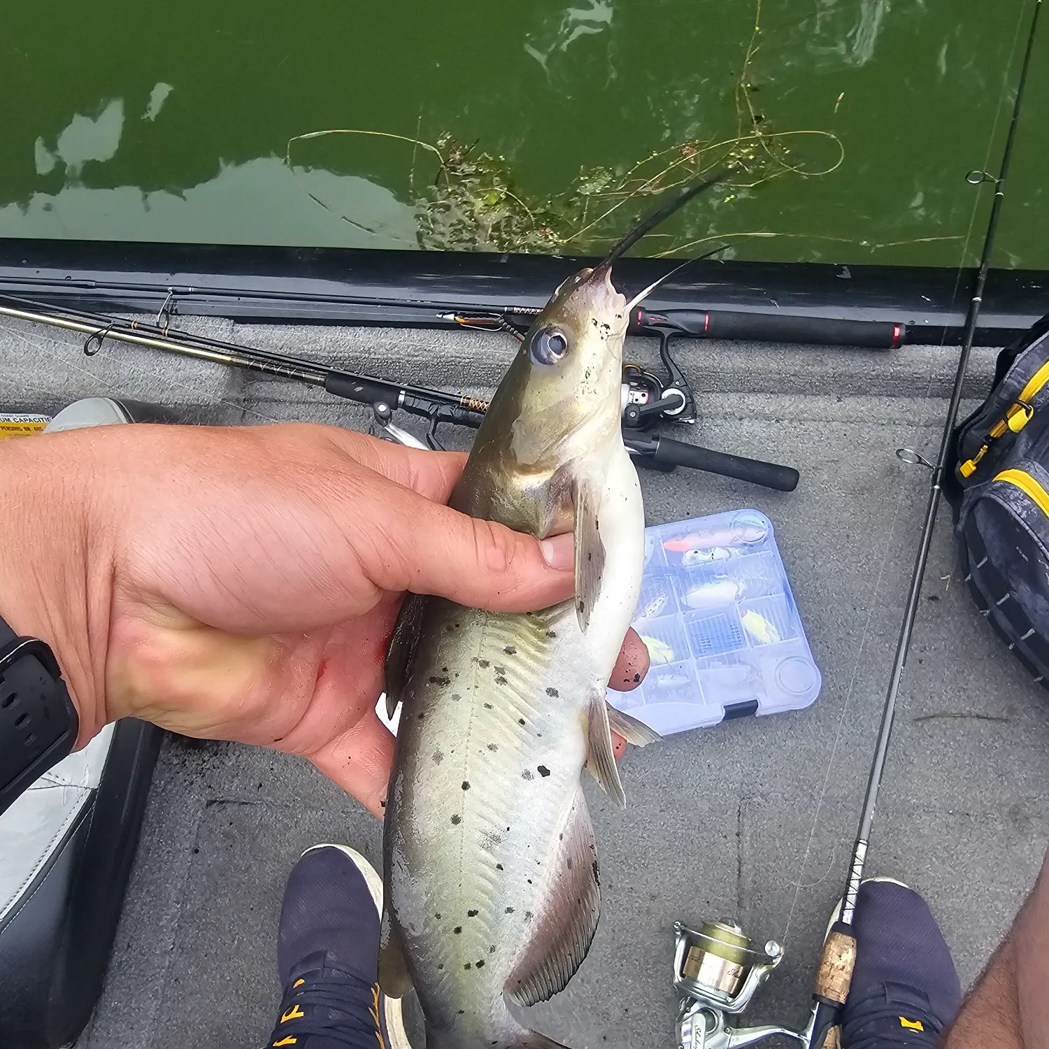 catch