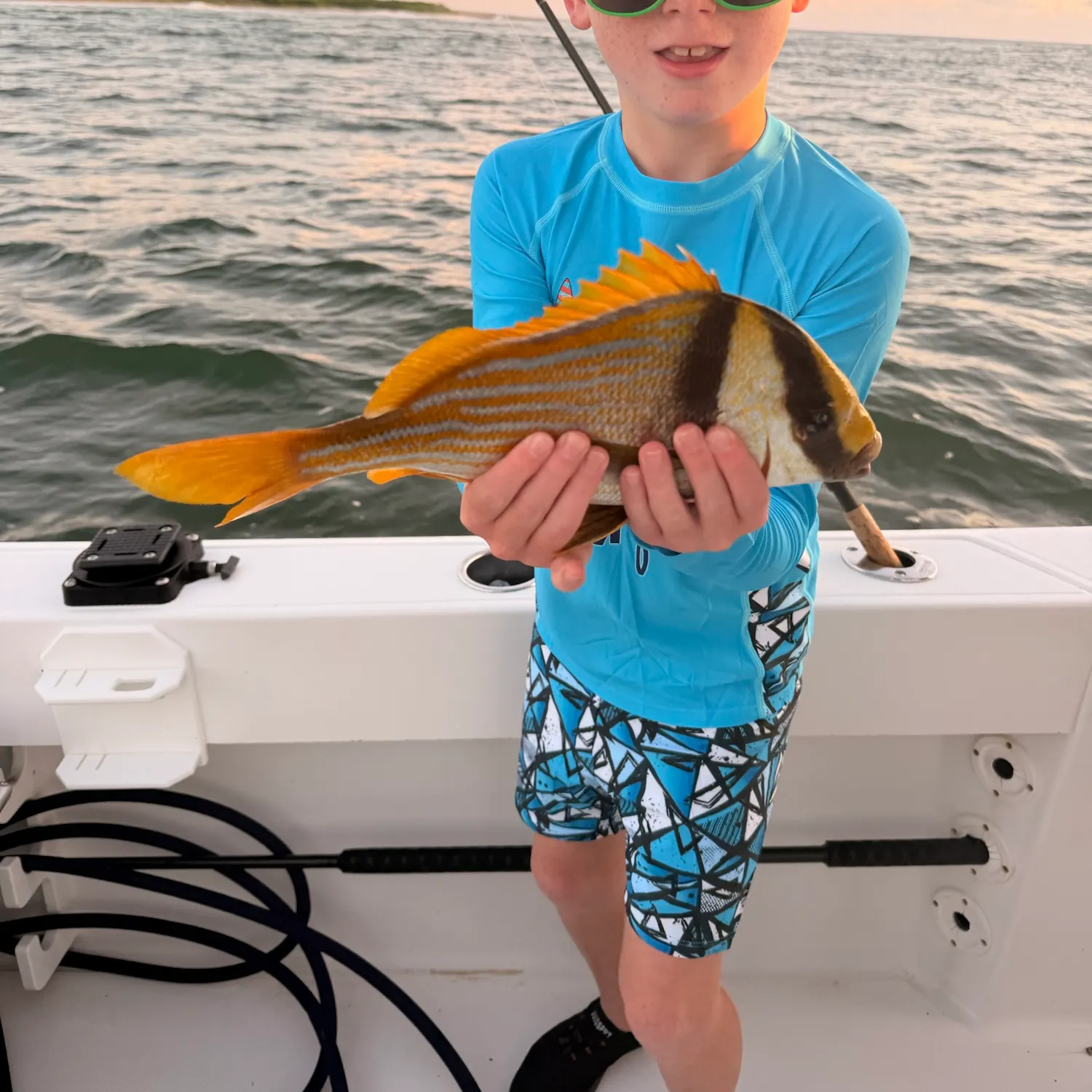 The most recent Atlantic porkfish catches on Fishbrain