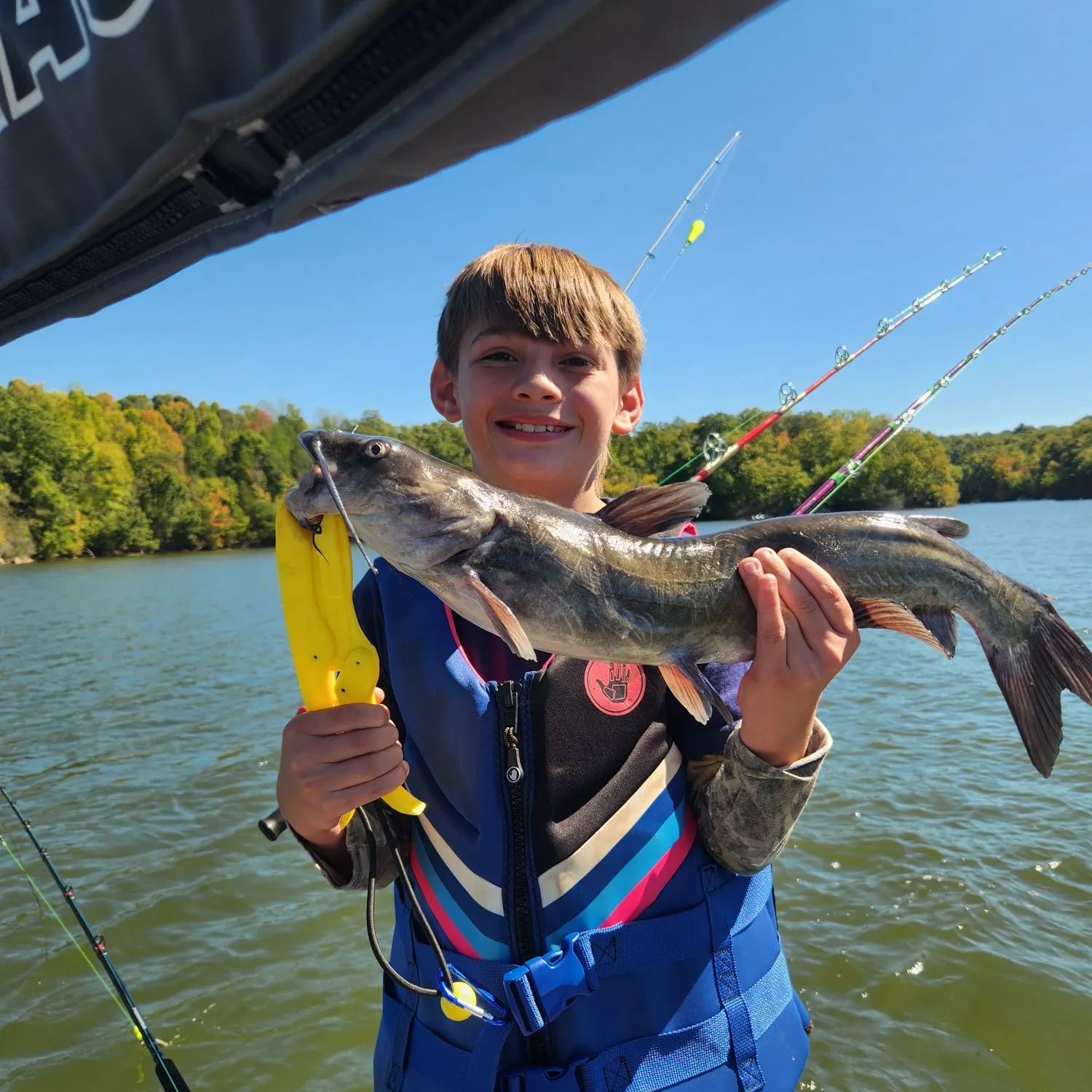 Blue catfish caught on Fishbrain