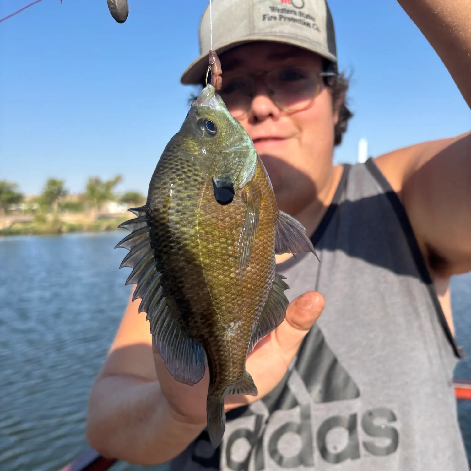 Fish caught on Fishbrain