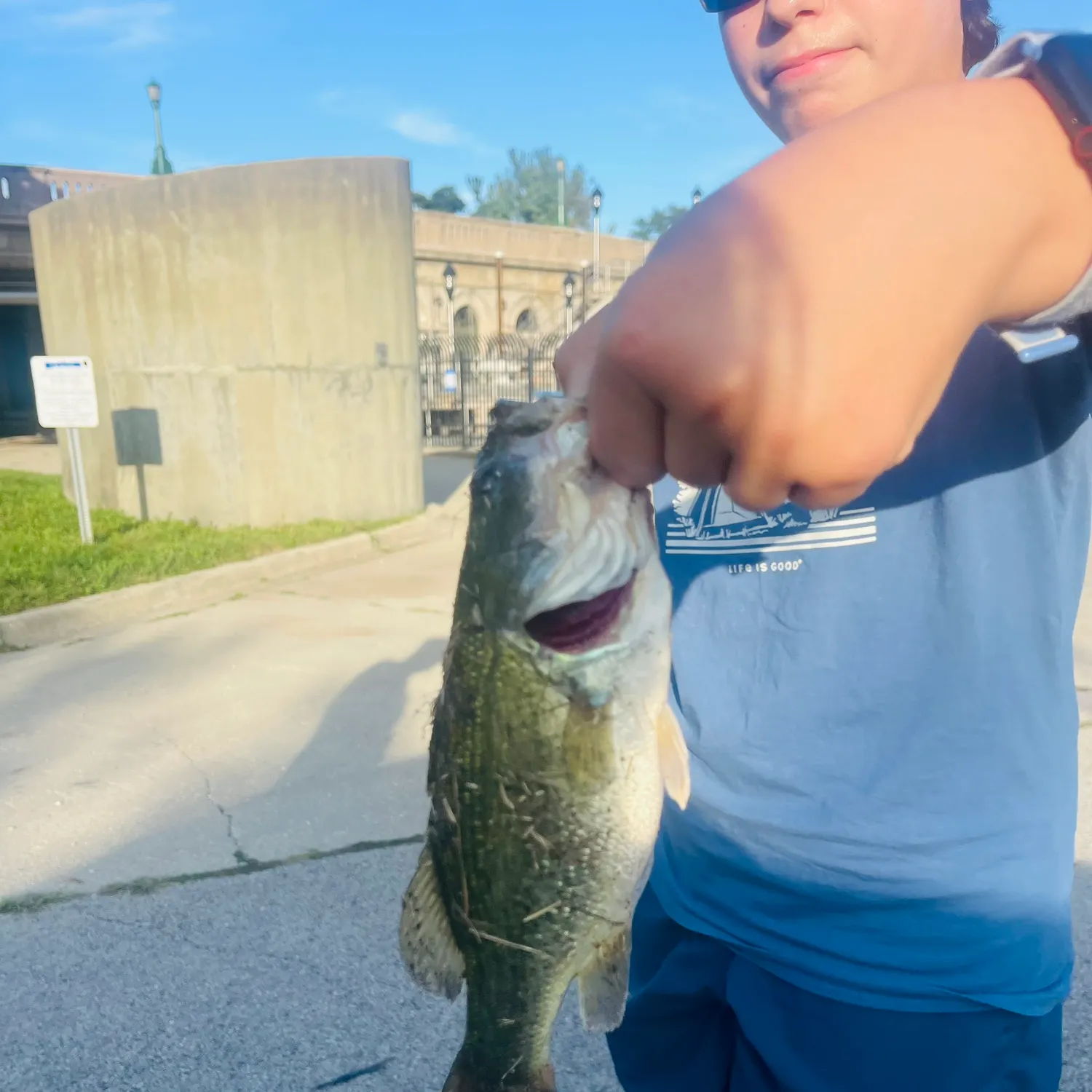 catch