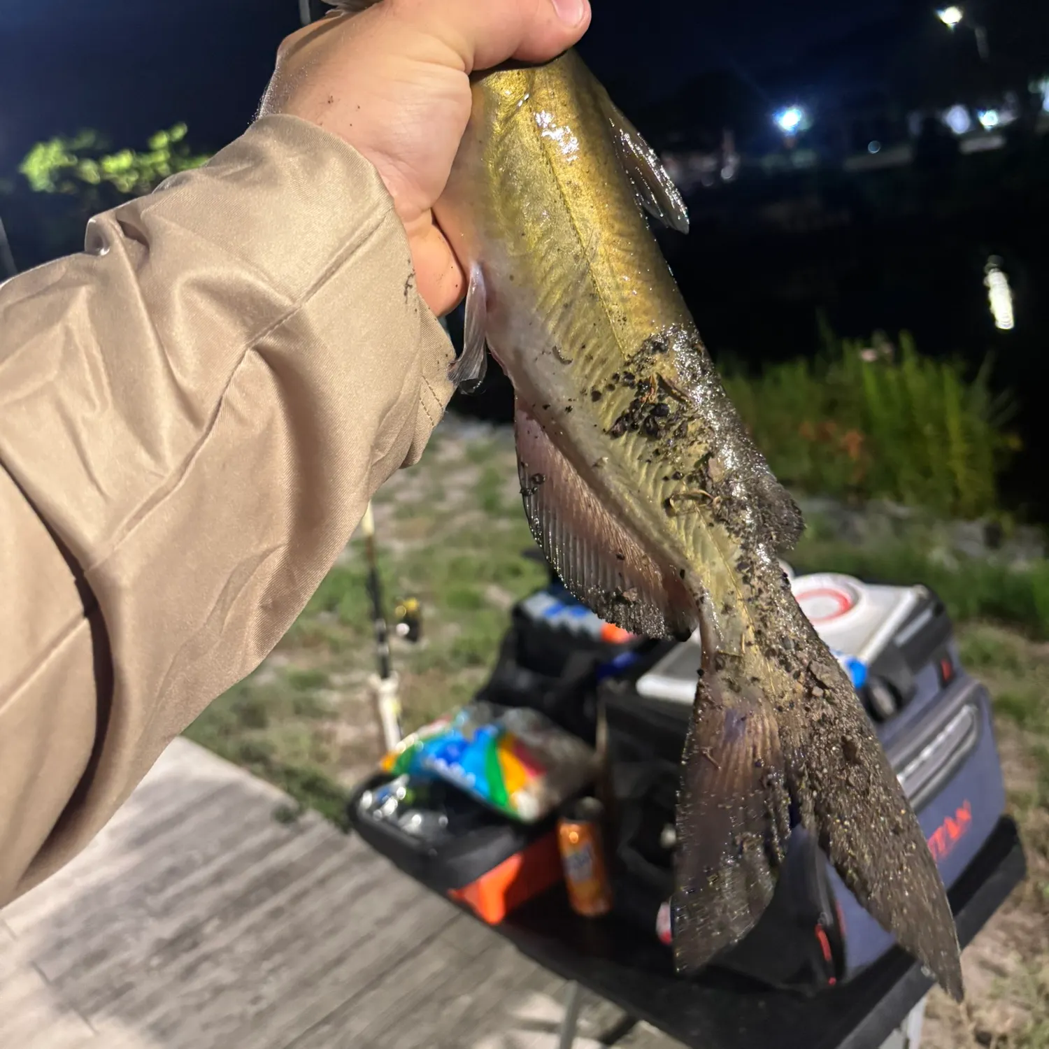 catch
