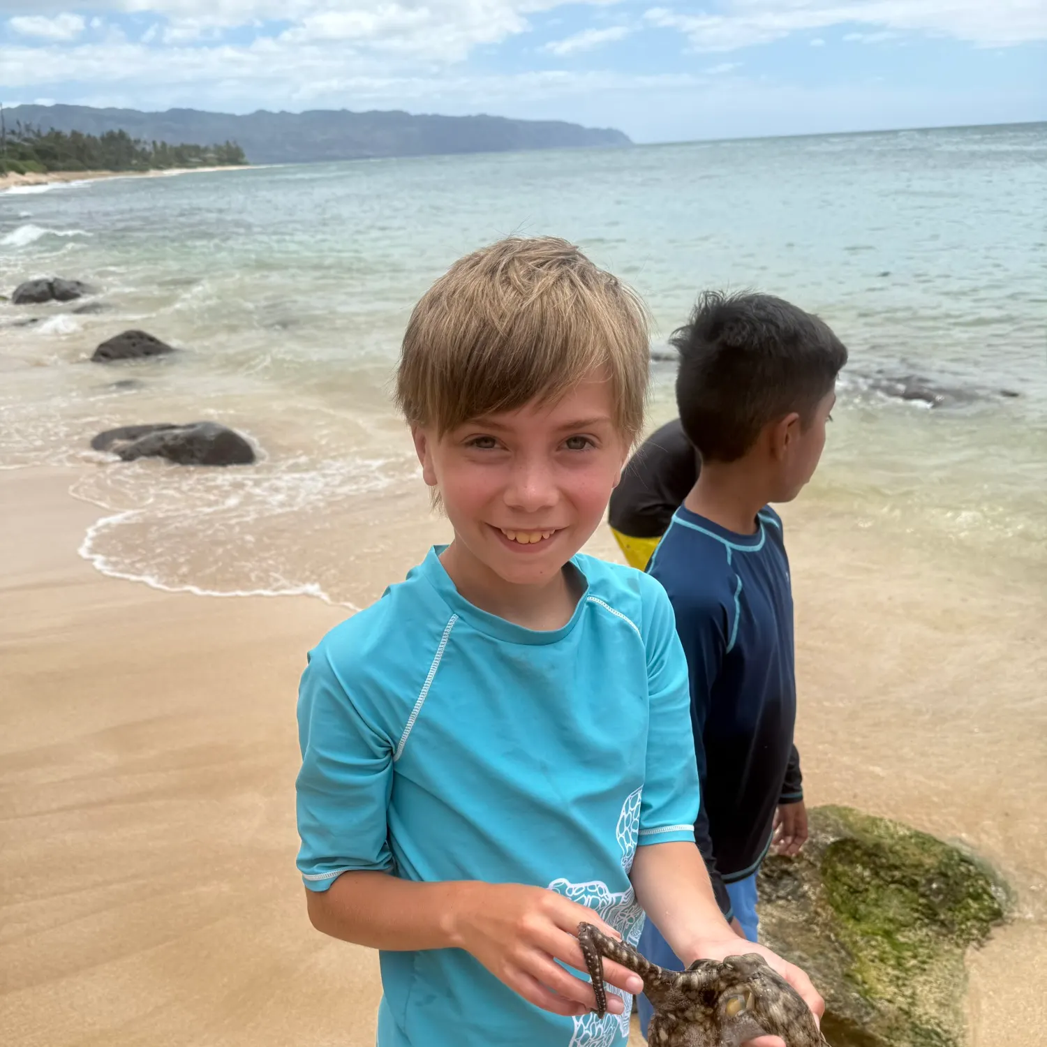 The most recent Caribbean reef octopus catches on Fishbrain