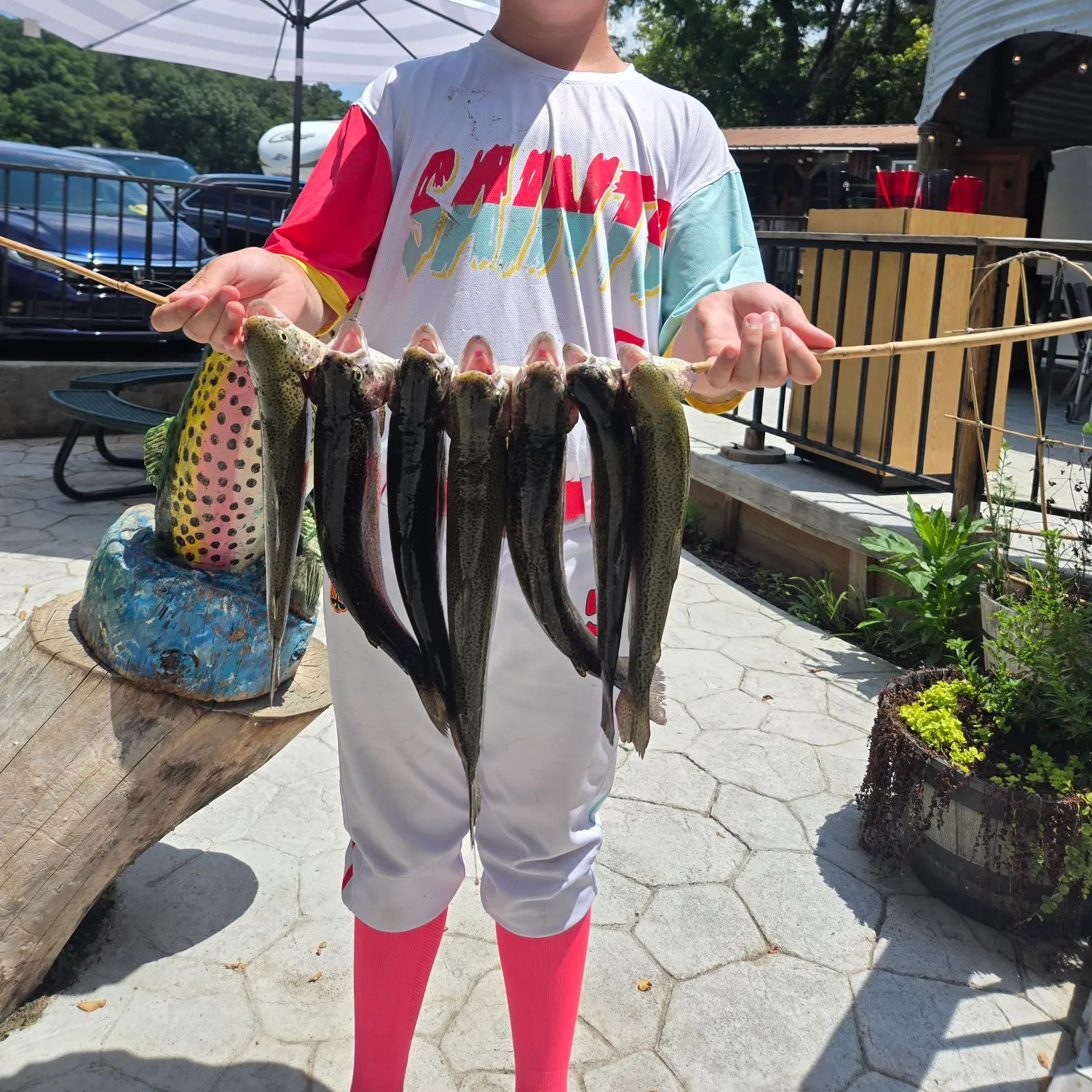 recently logged catches