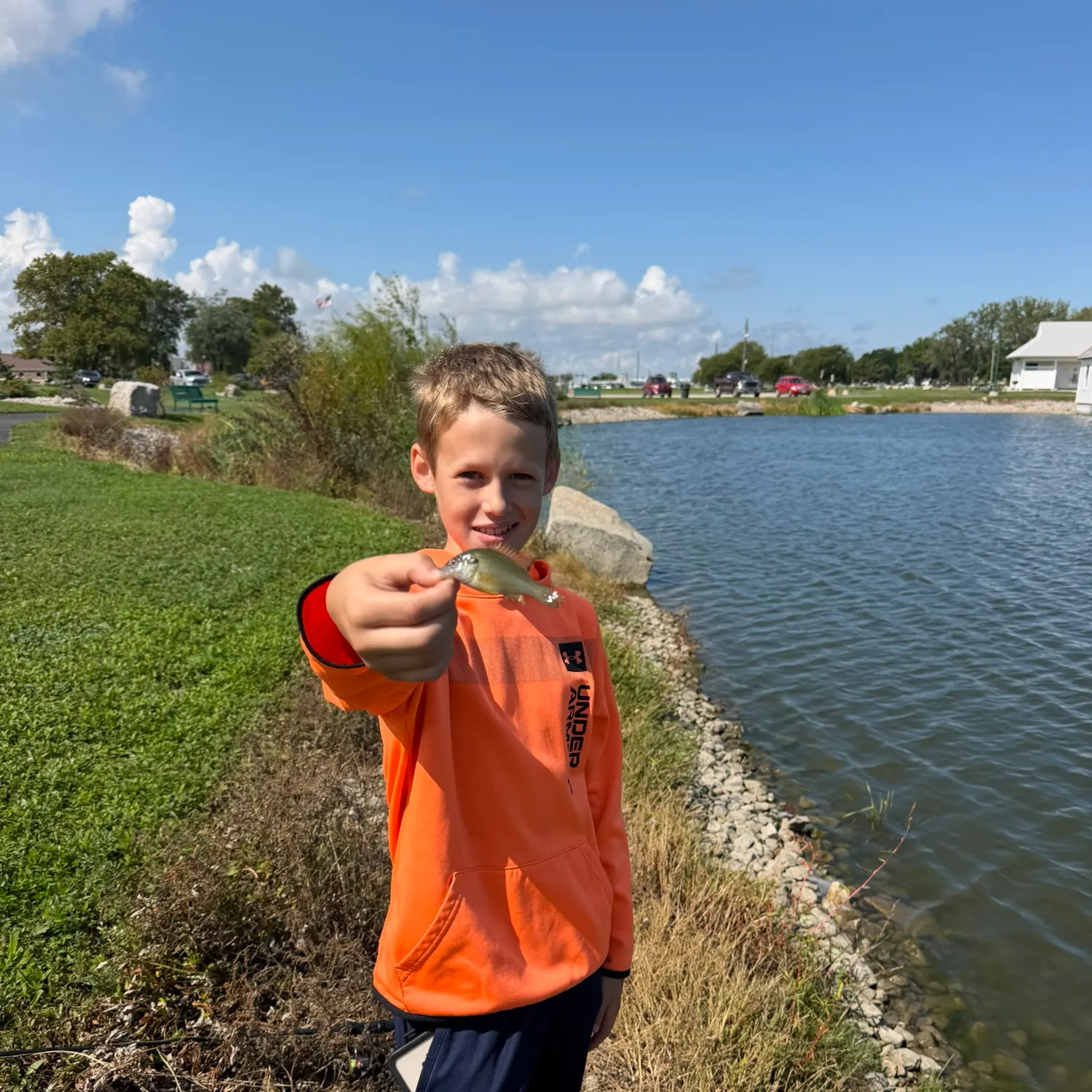 Bluegill caught on Fishbrain