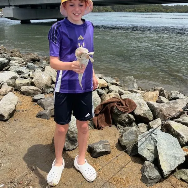 Dusky flathead caught on Fishbrain